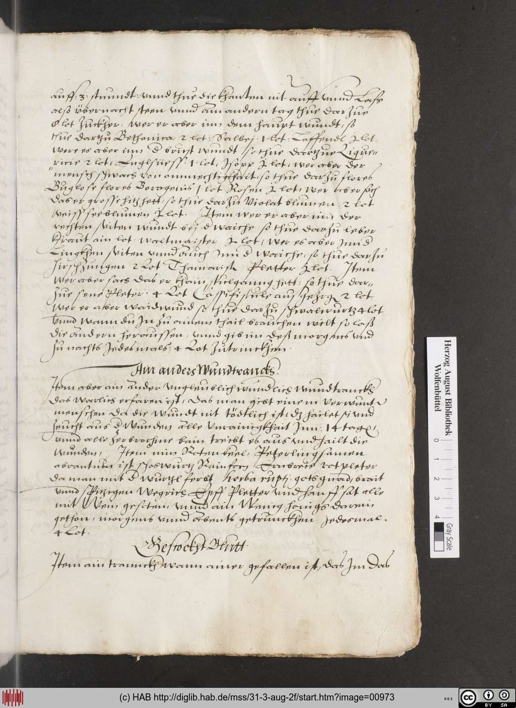 http://diglib.hab.de/mss/31-3-aug-2f/00973.jpg