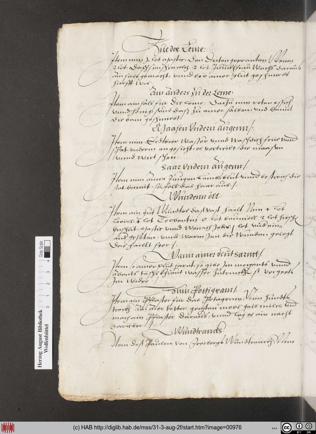 http://diglib.hab.de/mss/31-3-aug-2f/00976.jpg