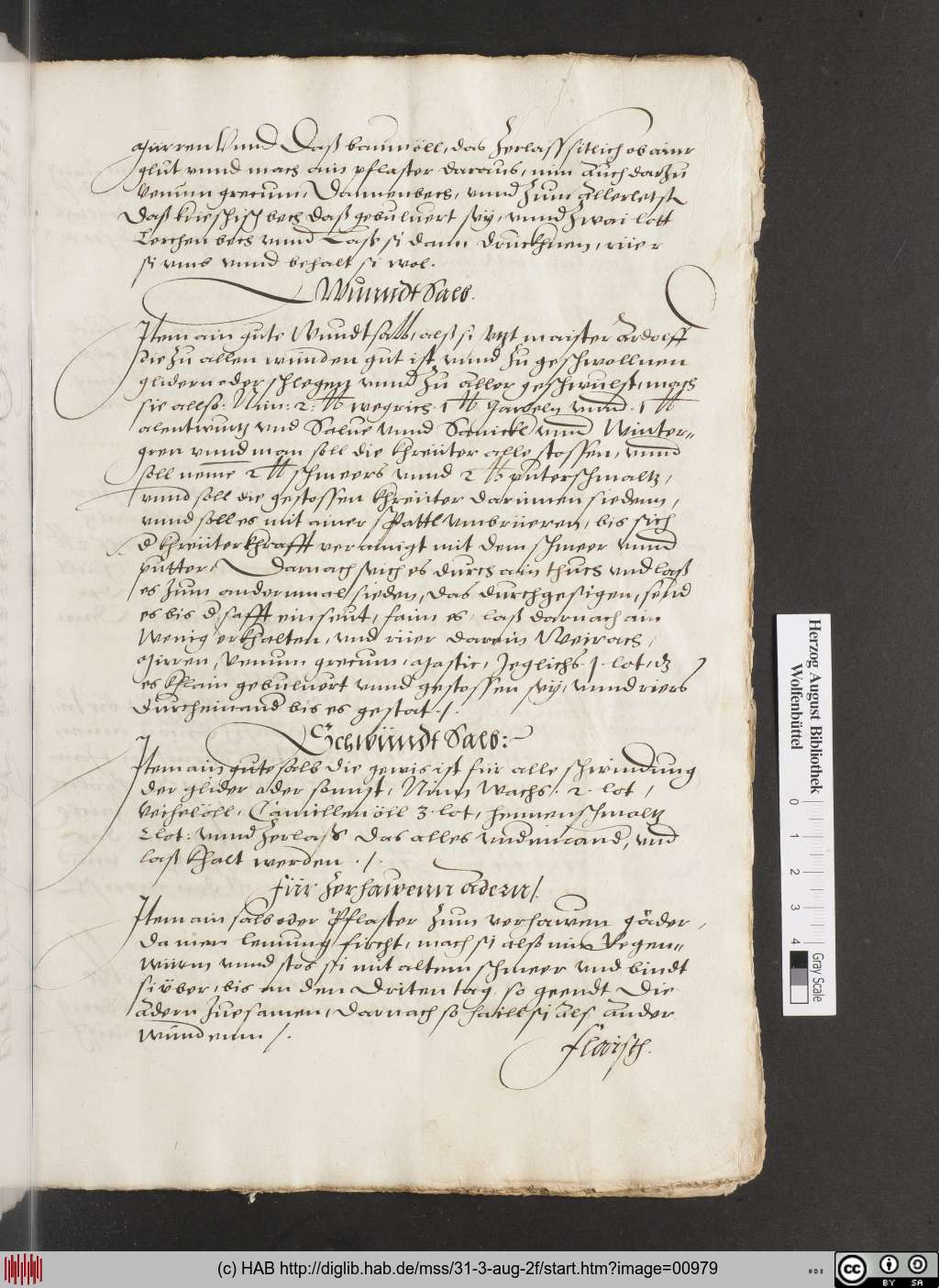 http://diglib.hab.de/mss/31-3-aug-2f/00979.jpg