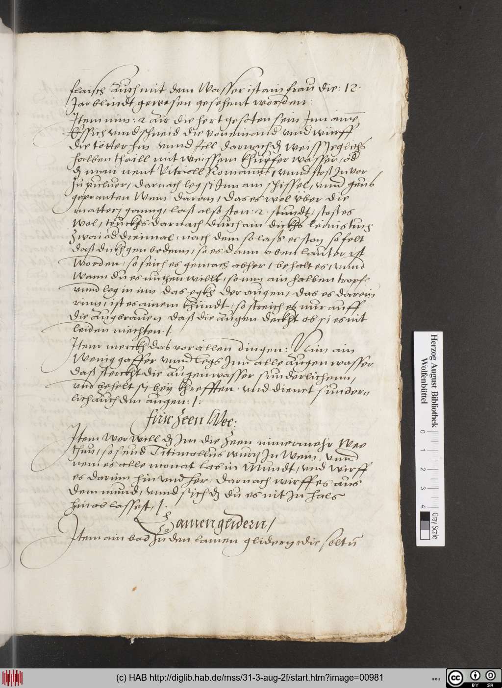 http://diglib.hab.de/mss/31-3-aug-2f/00981.jpg