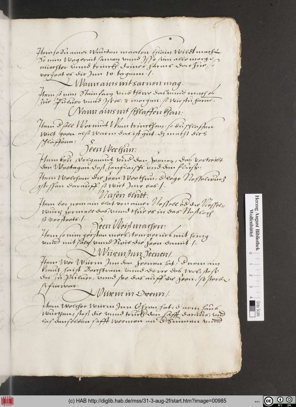 http://diglib.hab.de/mss/31-3-aug-2f/00985.jpg