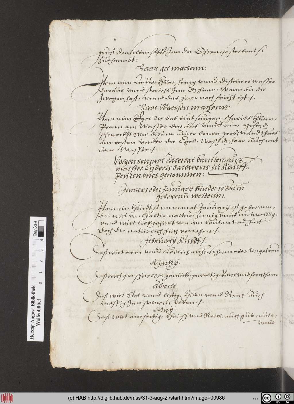 http://diglib.hab.de/mss/31-3-aug-2f/00986.jpg