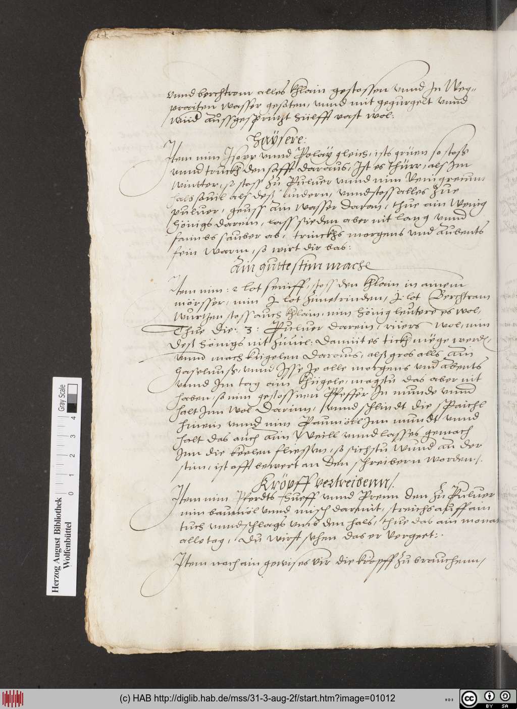 http://diglib.hab.de/mss/31-3-aug-2f/01012.jpg