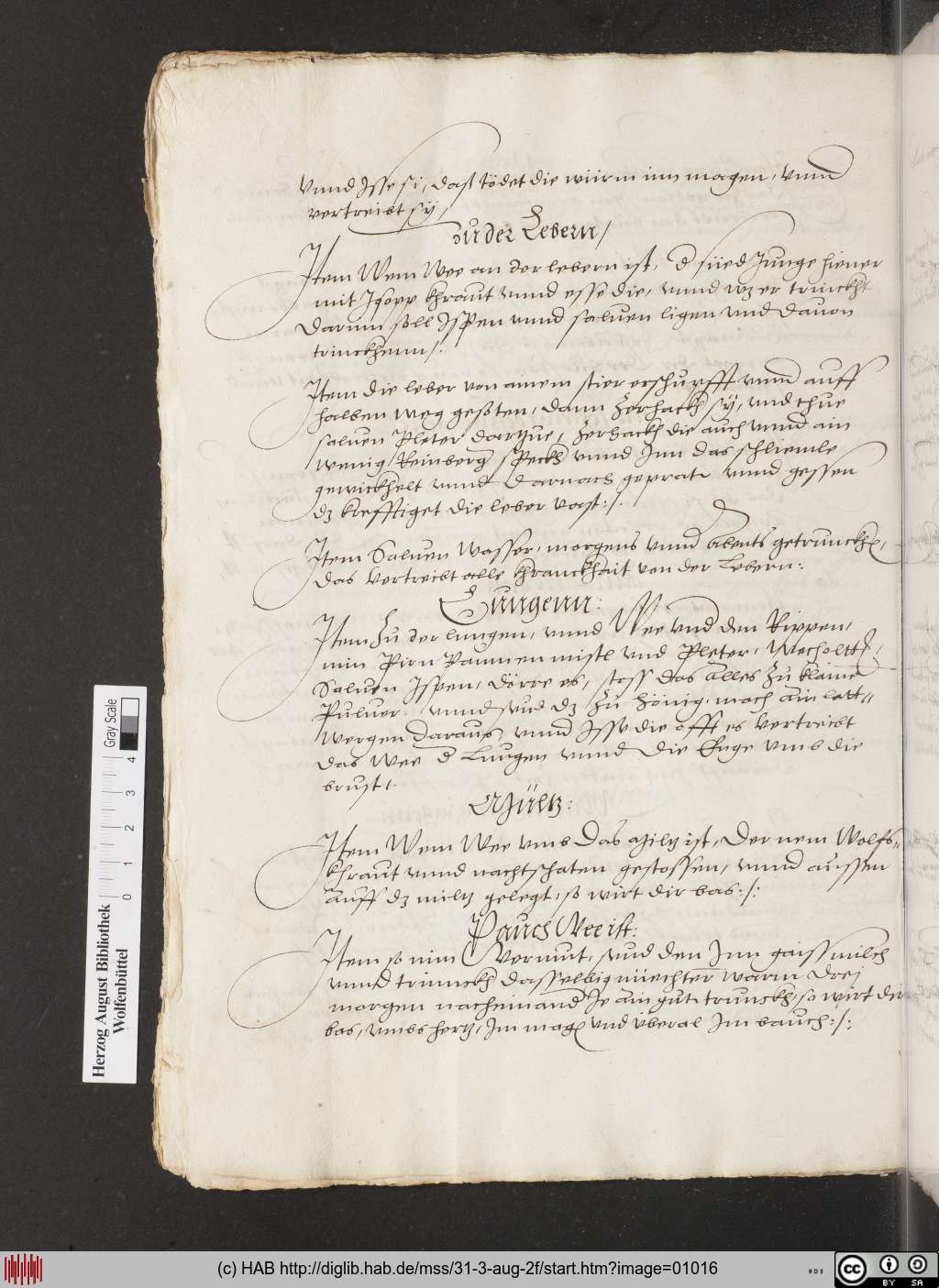 http://diglib.hab.de/mss/31-3-aug-2f/01016.jpg