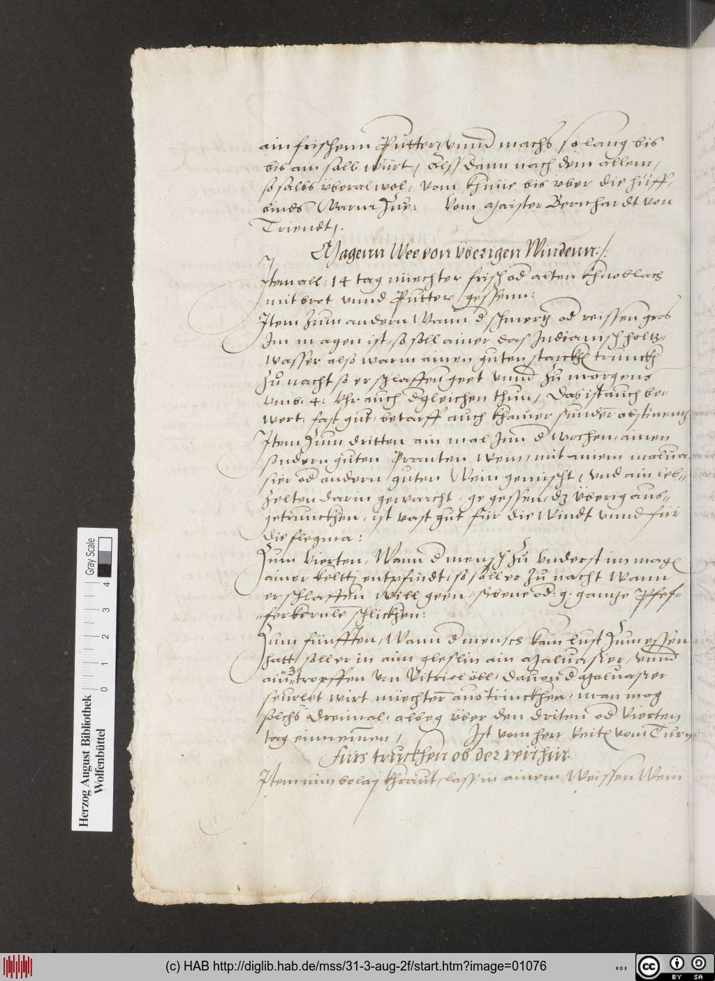 http://diglib.hab.de/mss/31-3-aug-2f/01076.jpg