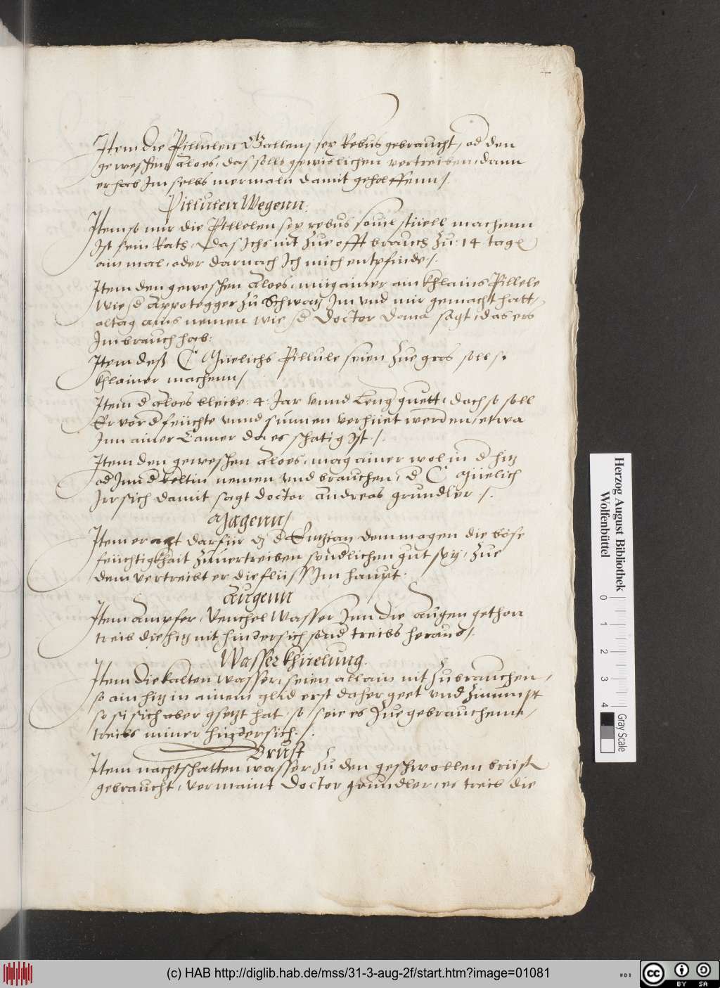 http://diglib.hab.de/mss/31-3-aug-2f/01081.jpg