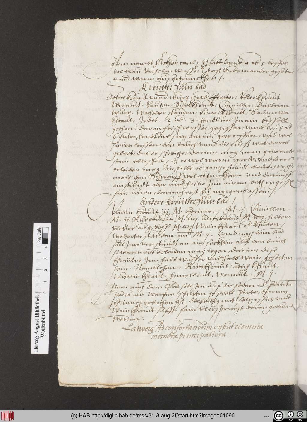 http://diglib.hab.de/mss/31-3-aug-2f/01090.jpg
