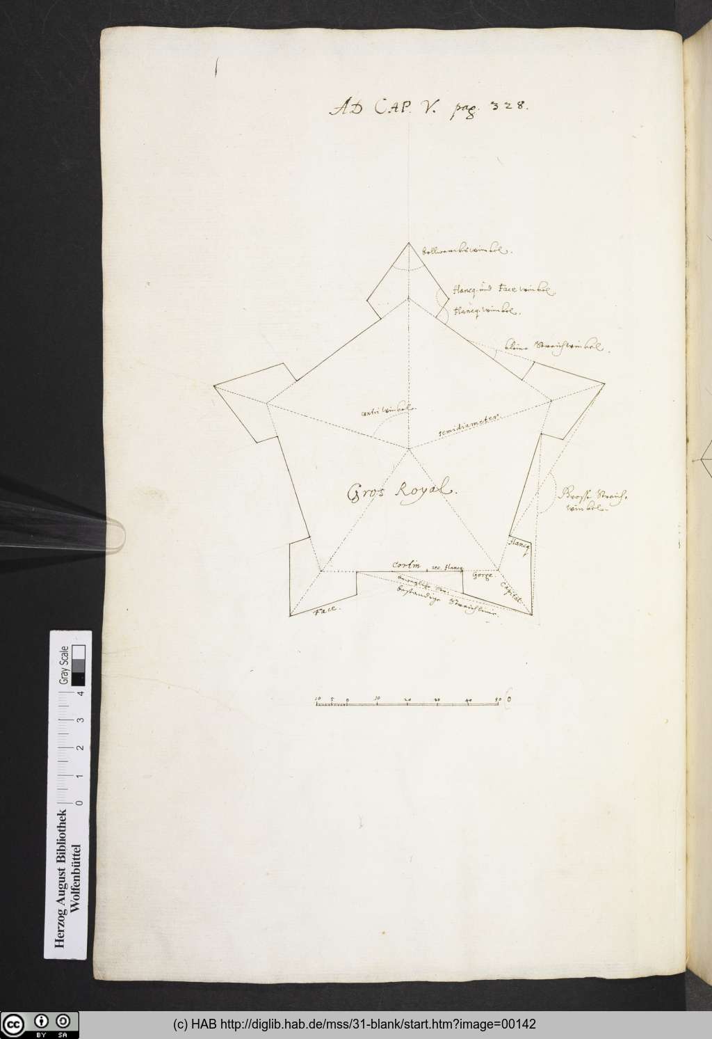 http://diglib.hab.de/mss/31-blank/00142.jpg