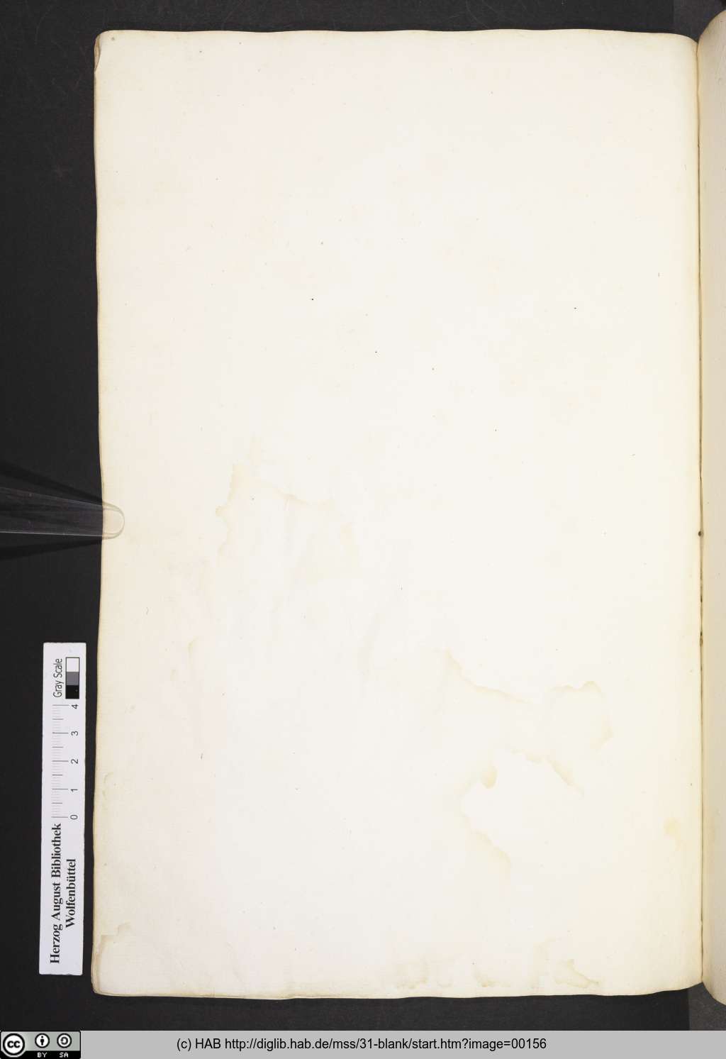 http://diglib.hab.de/mss/31-blank/00156.jpg
