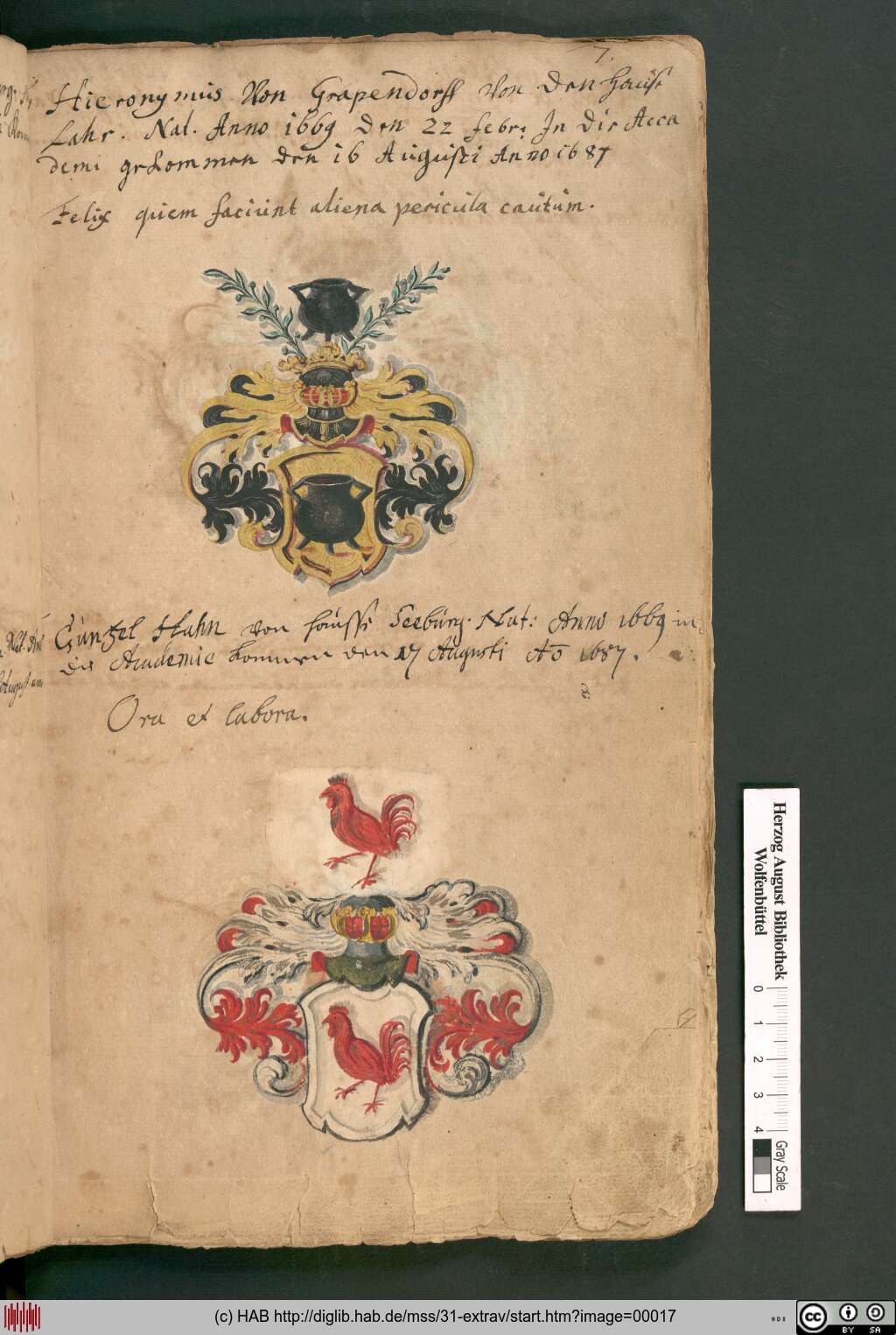 http://diglib.hab.de/mss/31-extrav/00017.jpg