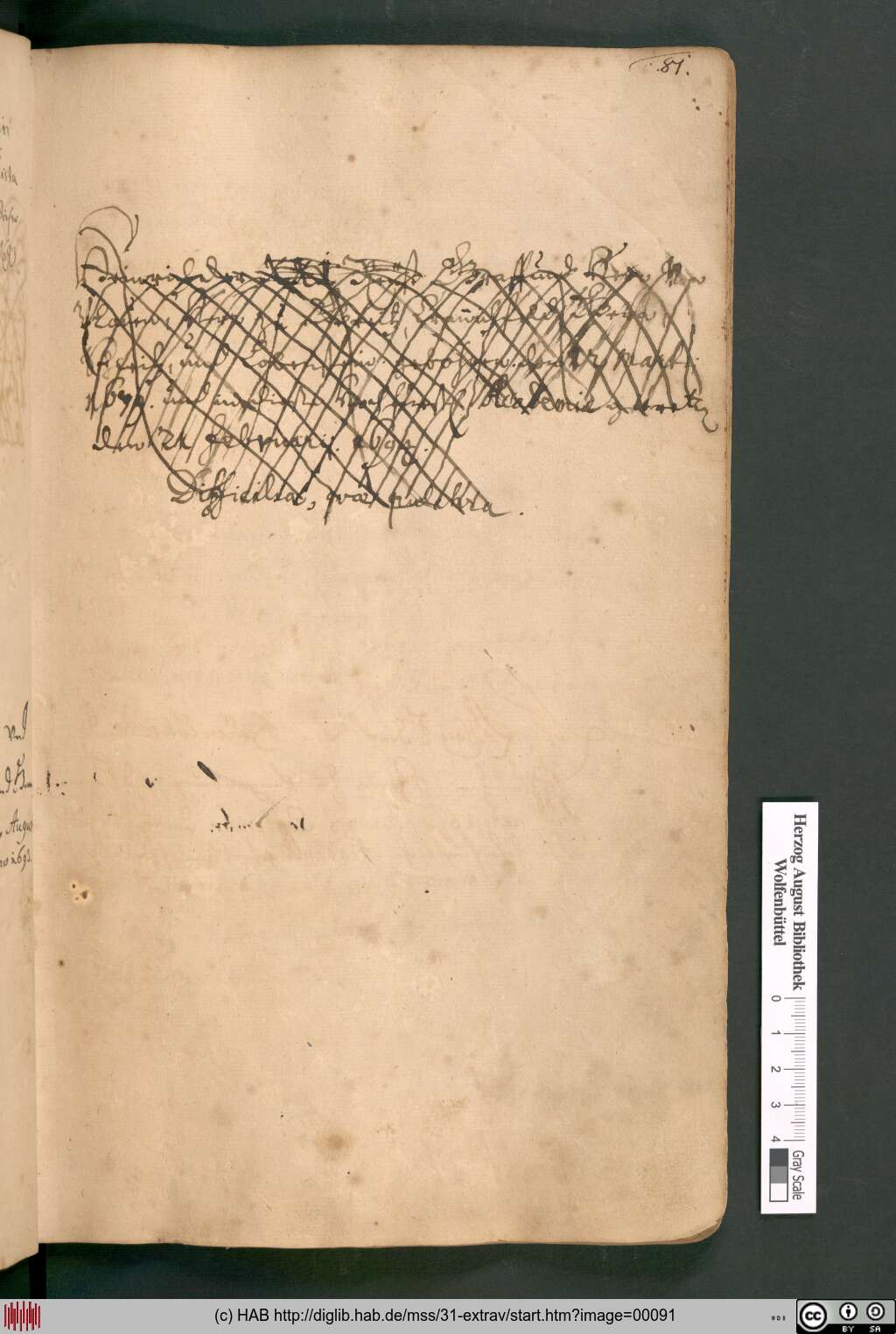 http://diglib.hab.de/mss/31-extrav/00091.jpg