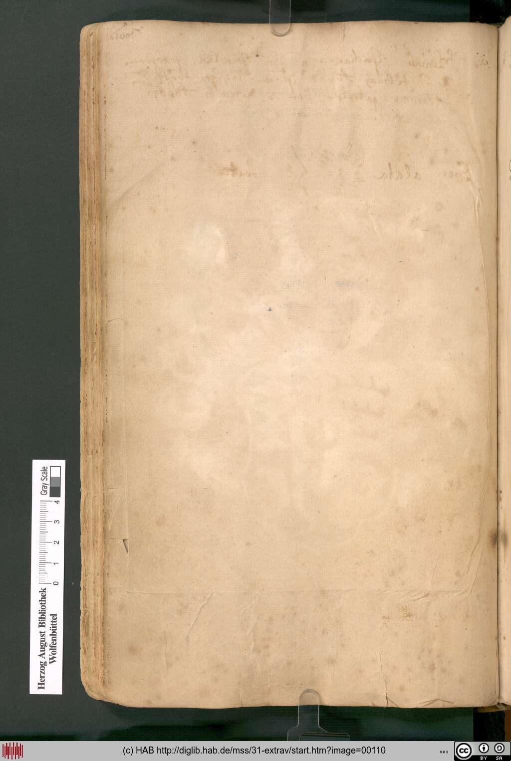 http://diglib.hab.de/mss/31-extrav/00110.jpg