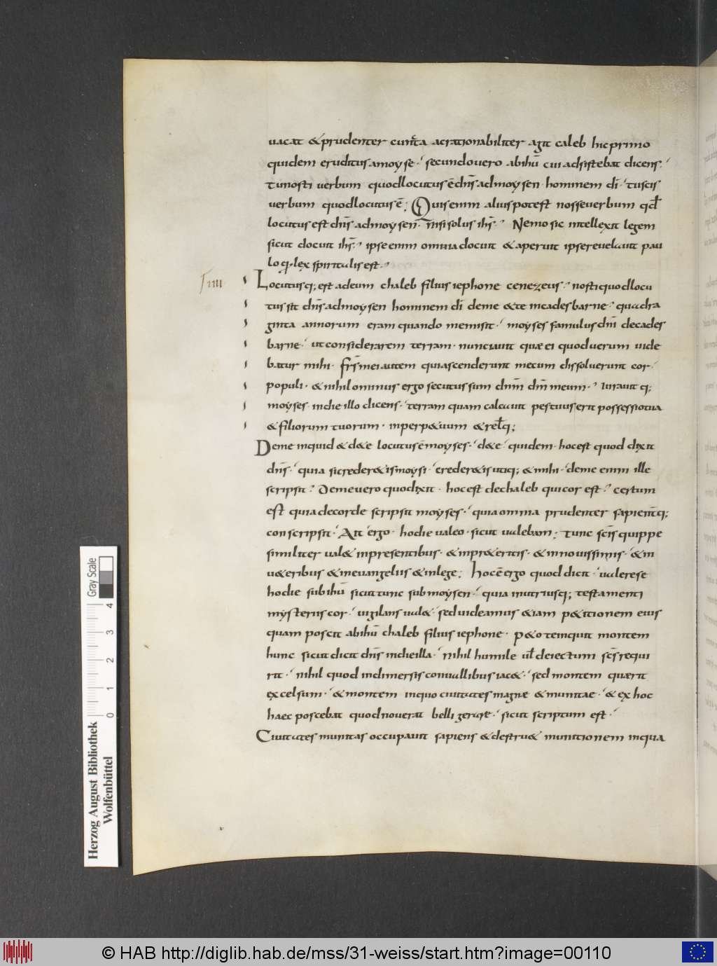 http://diglib.hab.de/mss/31-weiss/00110.jpg