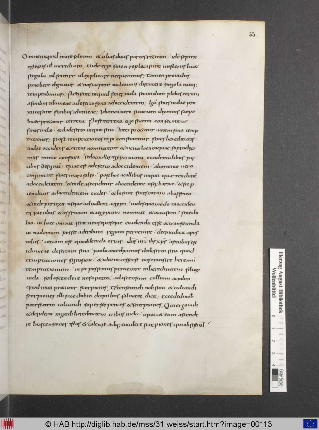 http://diglib.hab.de/mss/31-weiss/00113.jpg