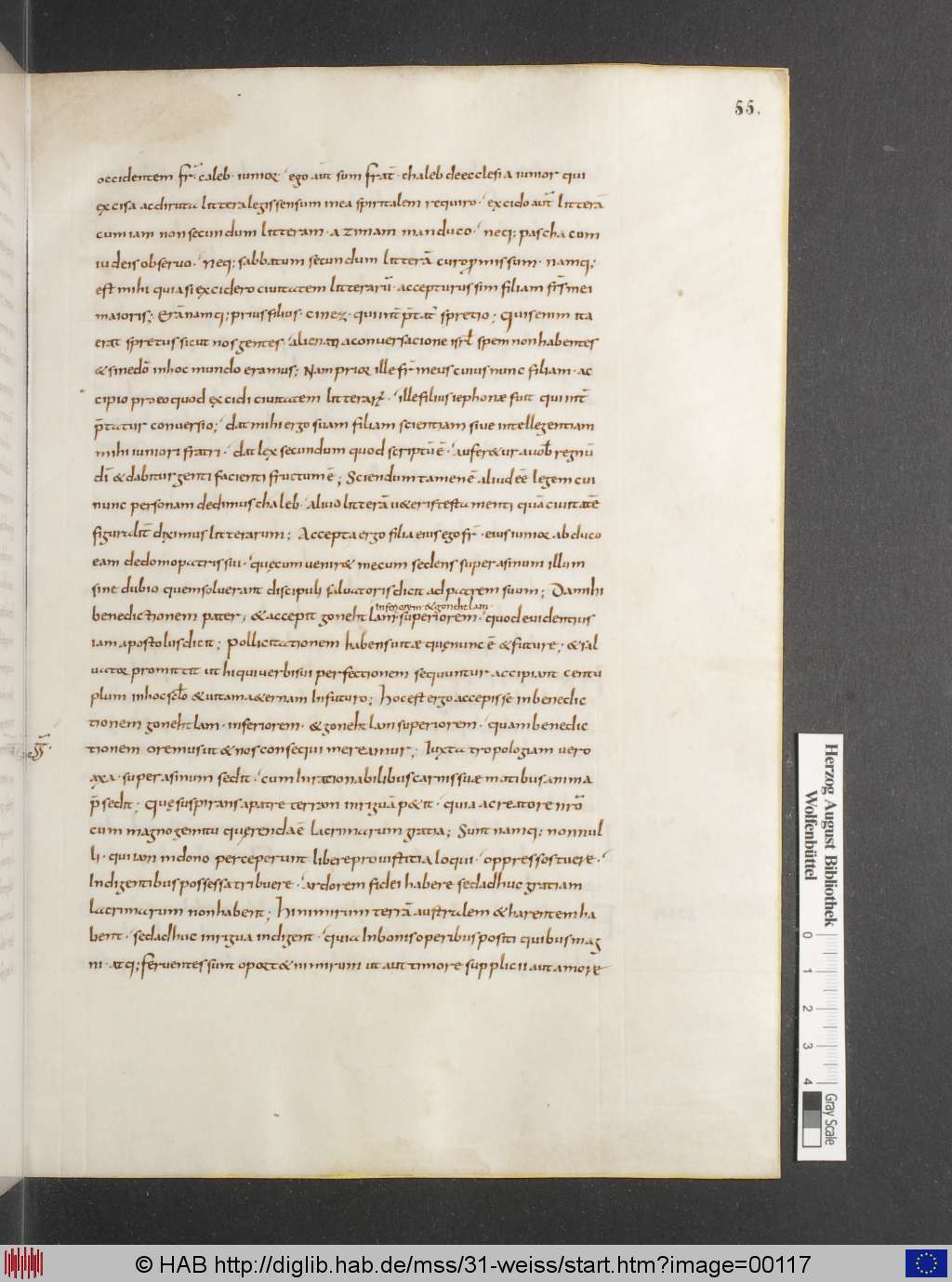 http://diglib.hab.de/mss/31-weiss/00117.jpg
