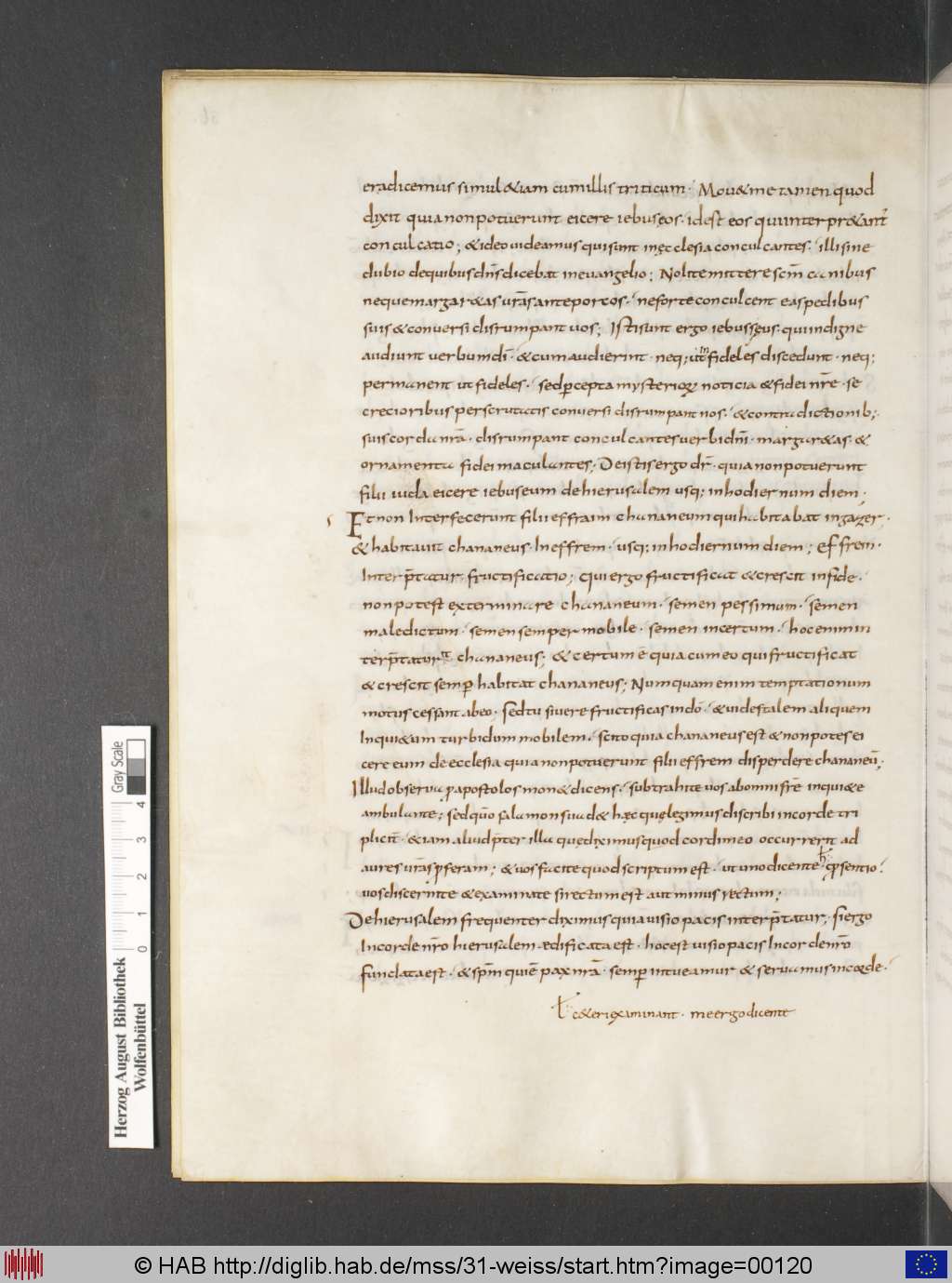 http://diglib.hab.de/mss/31-weiss/00120.jpg