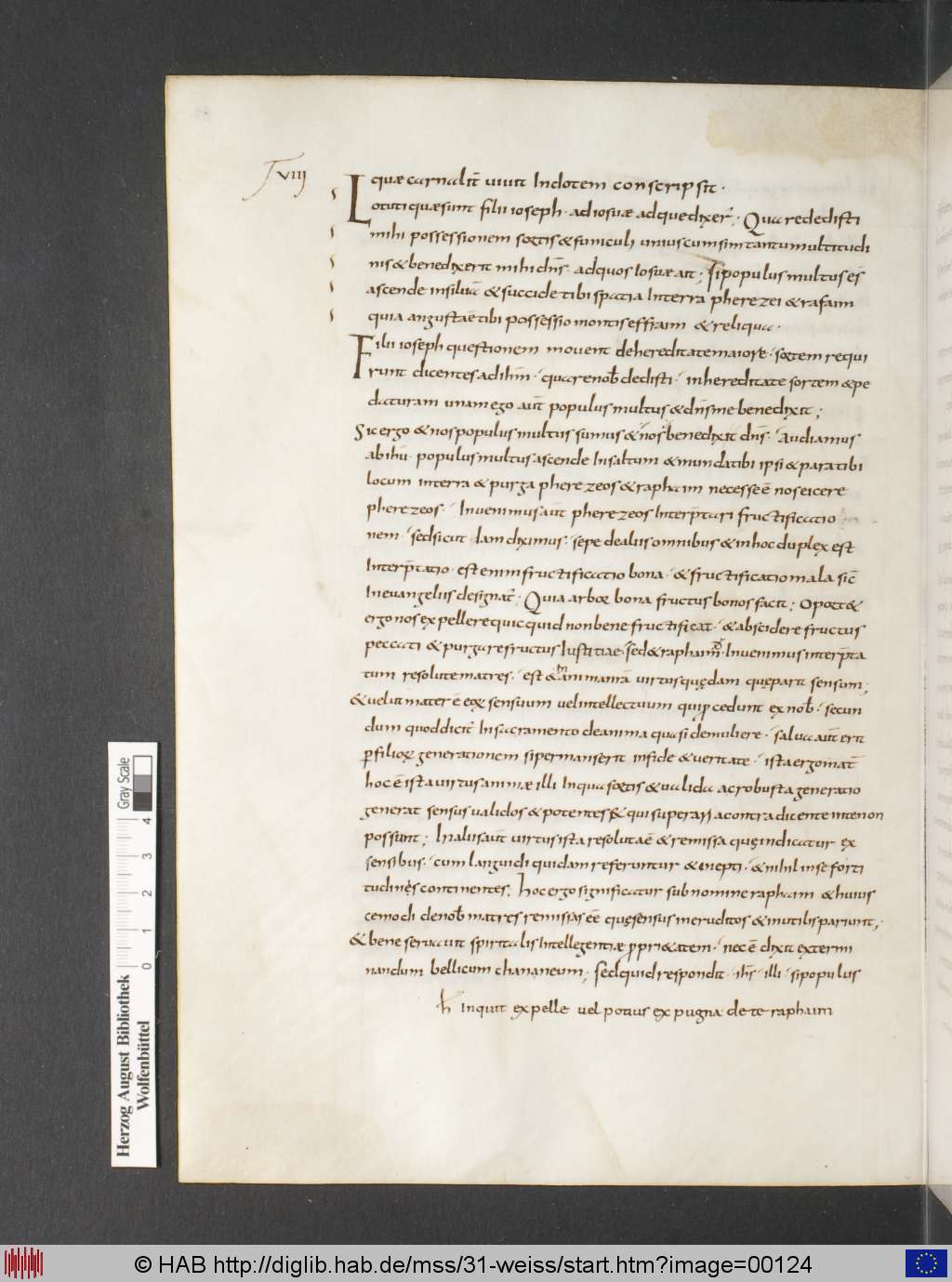 http://diglib.hab.de/mss/31-weiss/00124.jpg