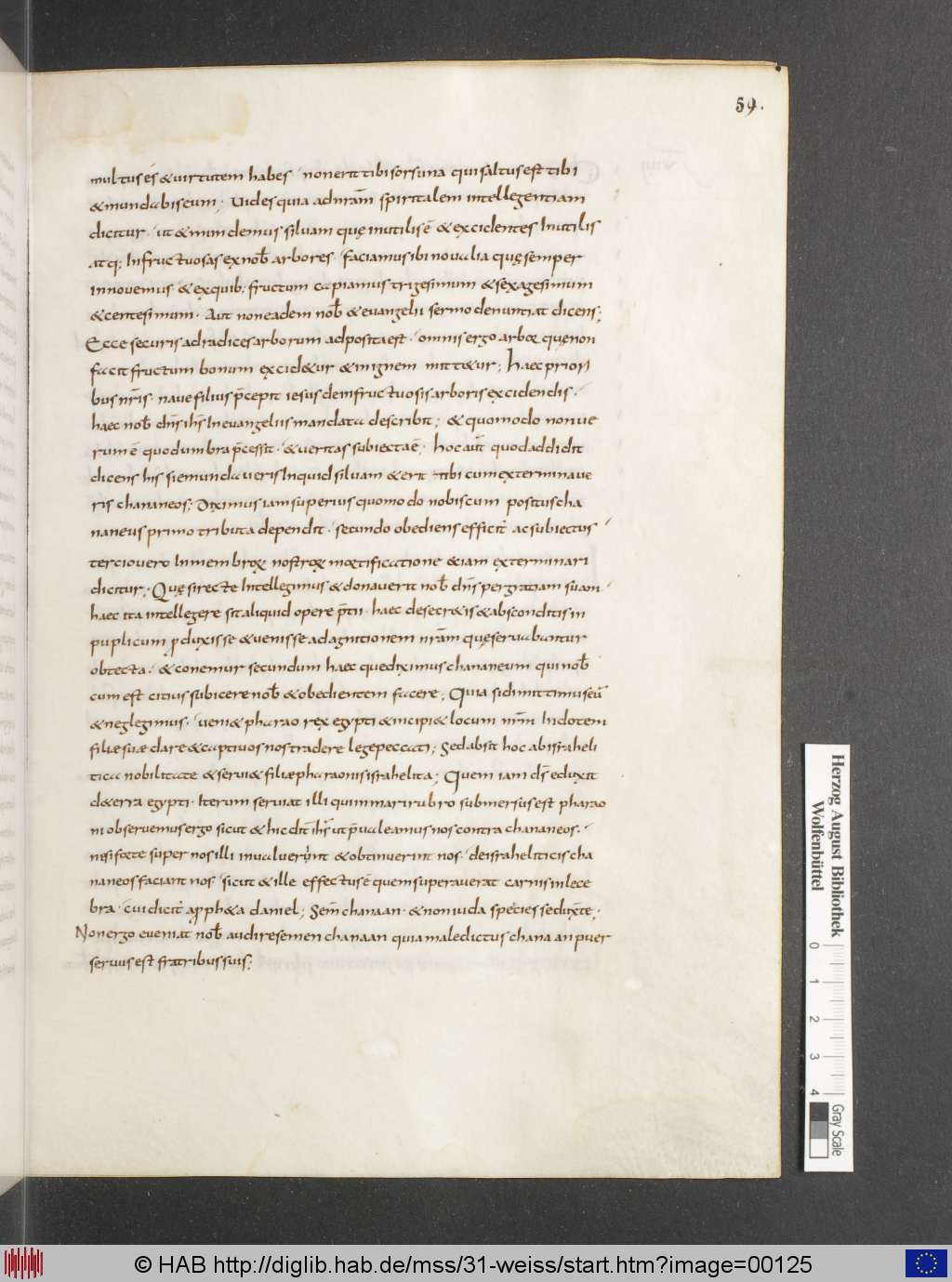 http://diglib.hab.de/mss/31-weiss/00125.jpg