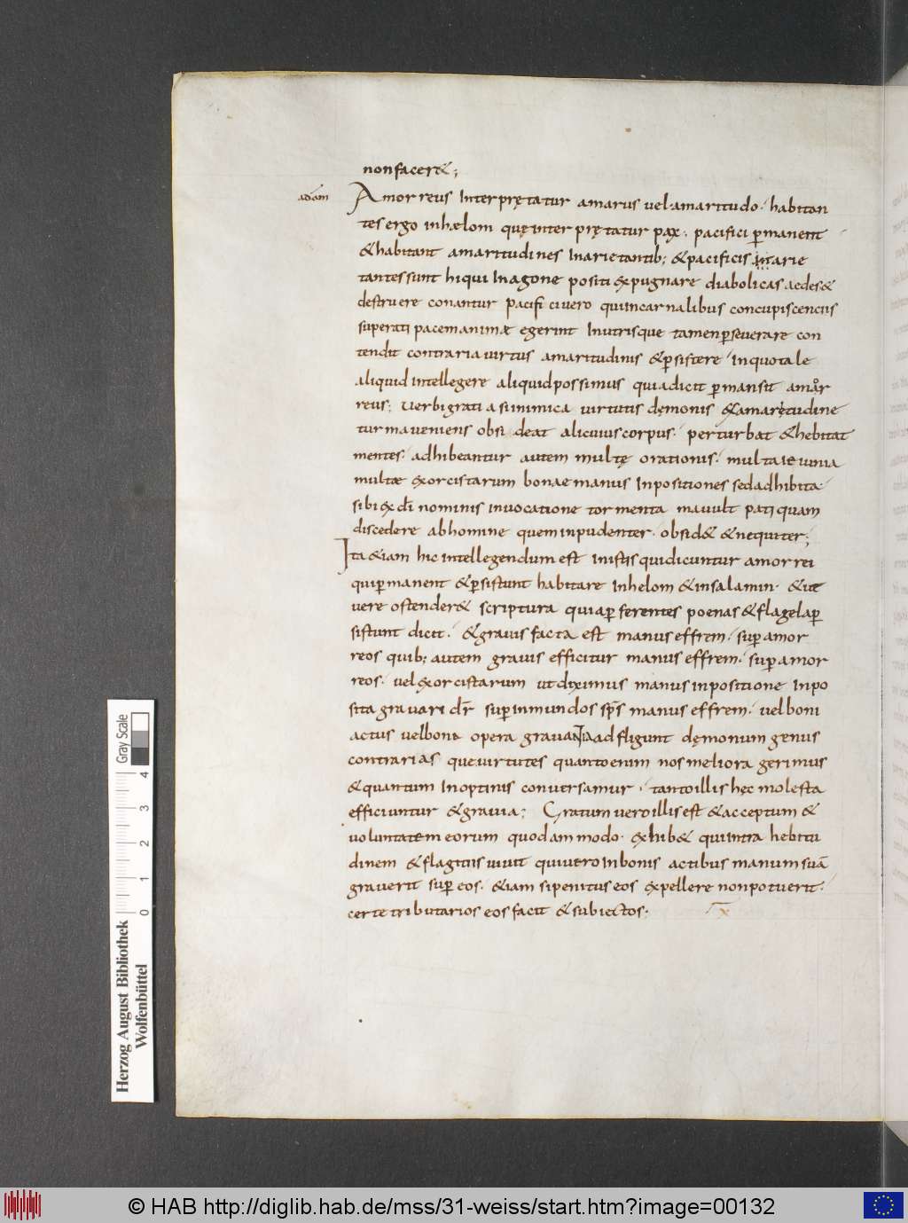 http://diglib.hab.de/mss/31-weiss/00132.jpg