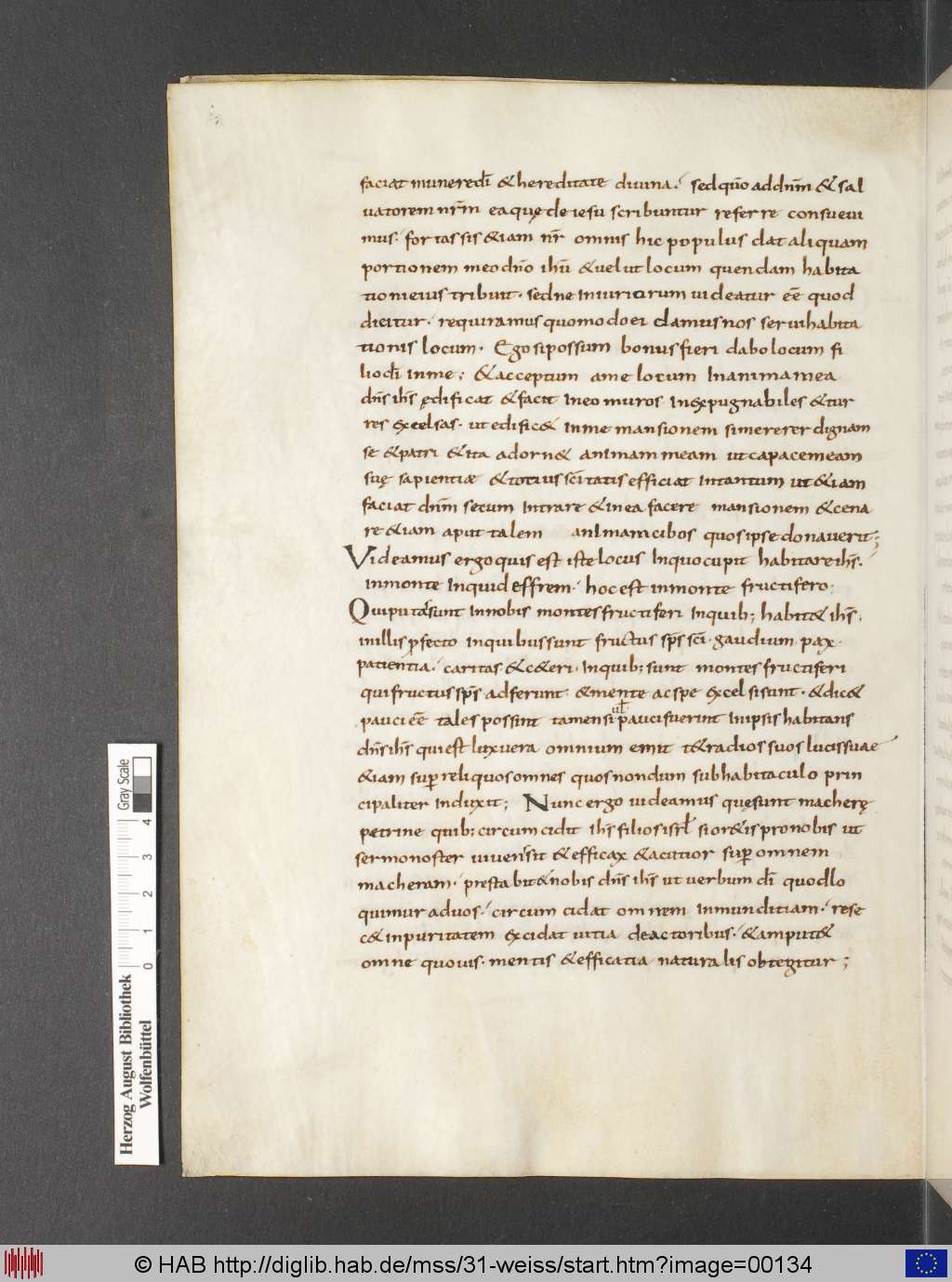 http://diglib.hab.de/mss/31-weiss/00134.jpg