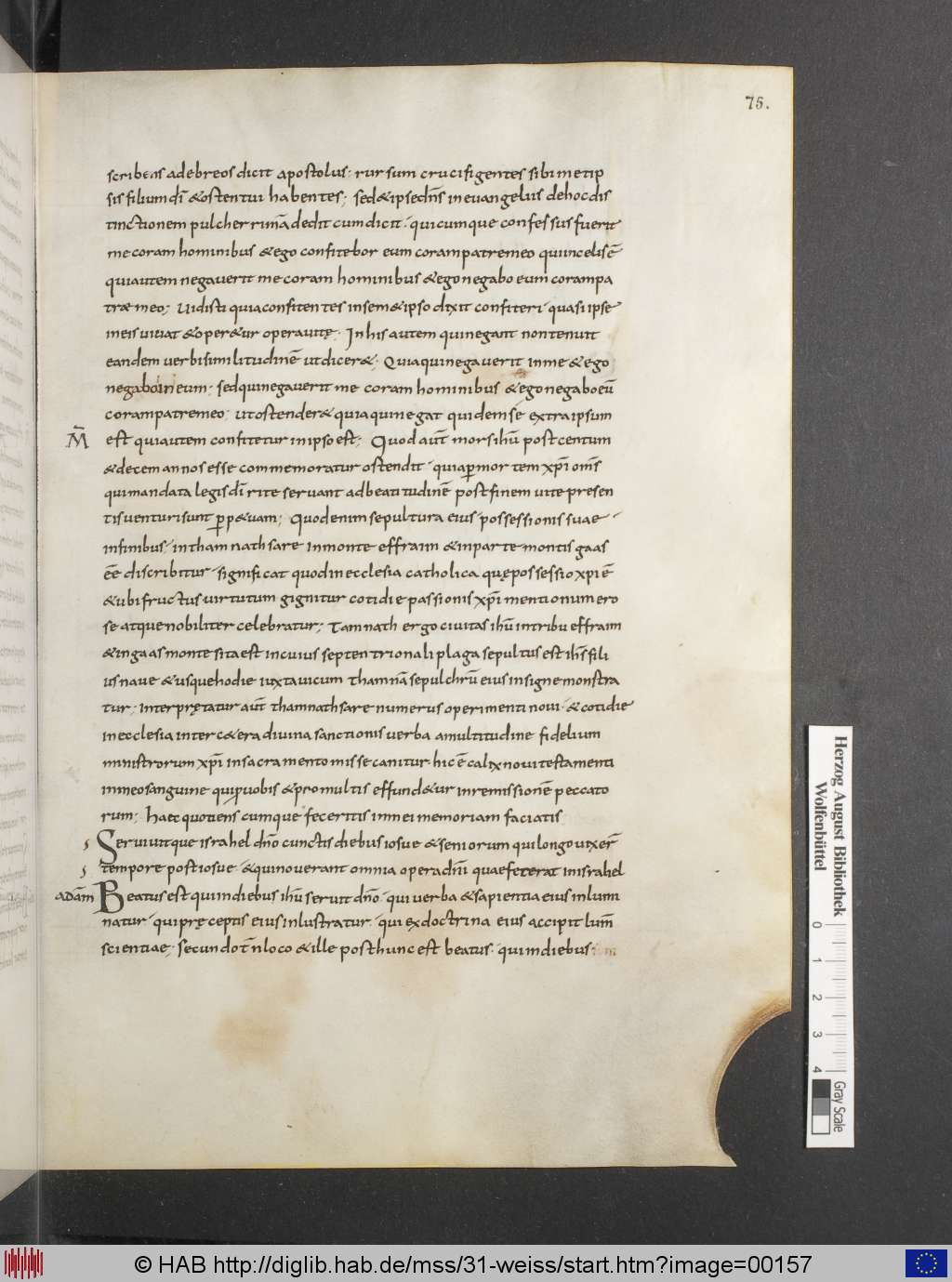http://diglib.hab.de/mss/31-weiss/00157.jpg