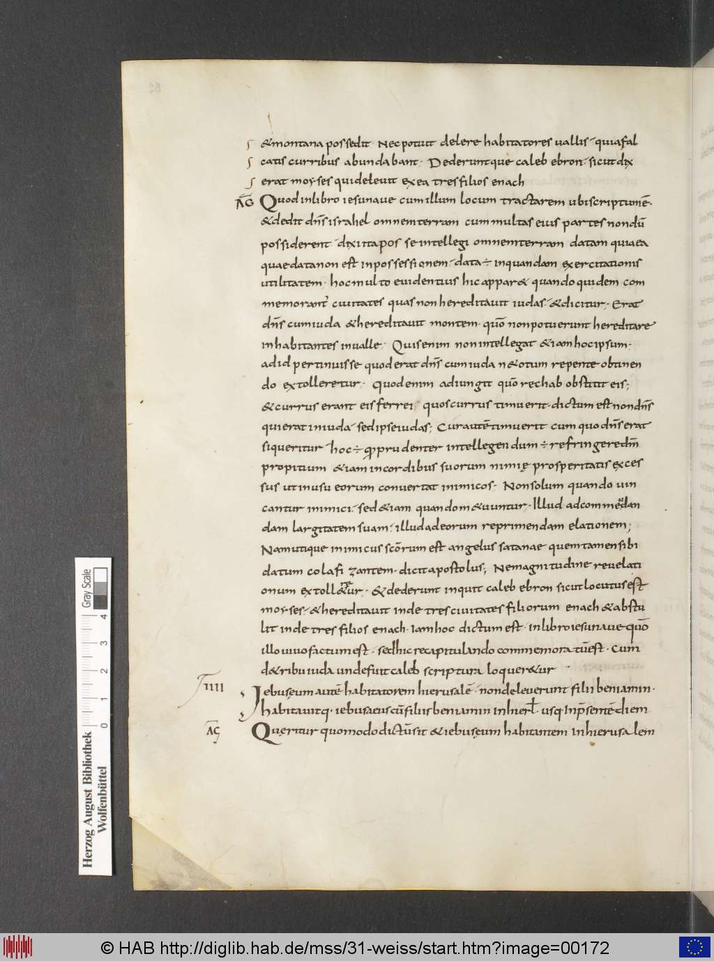 http://diglib.hab.de/mss/31-weiss/00172.jpg