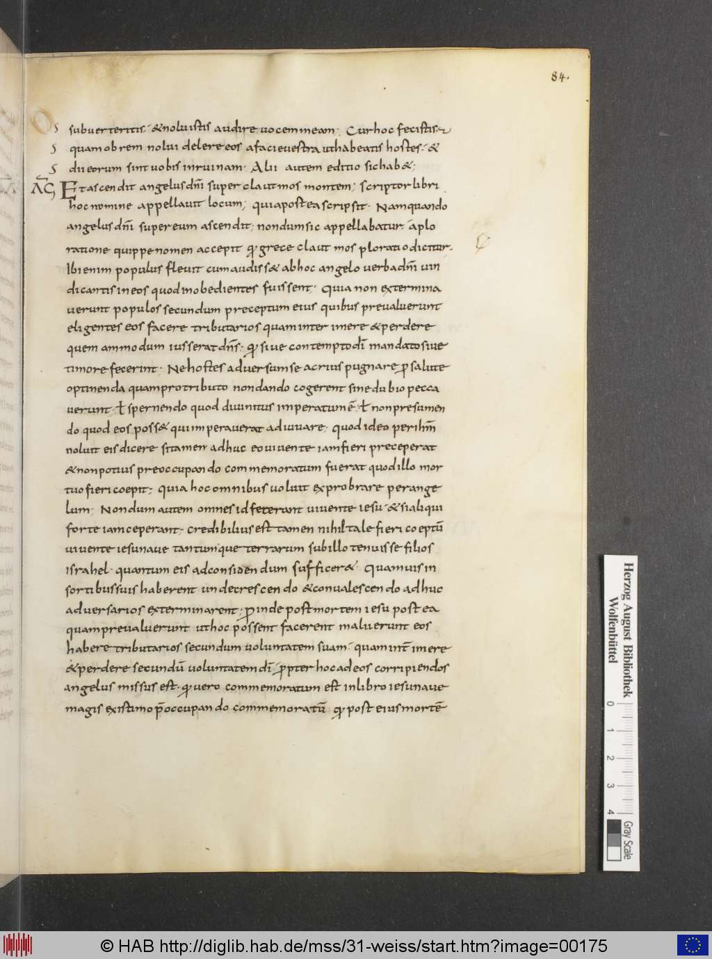 http://diglib.hab.de/mss/31-weiss/00175.jpg