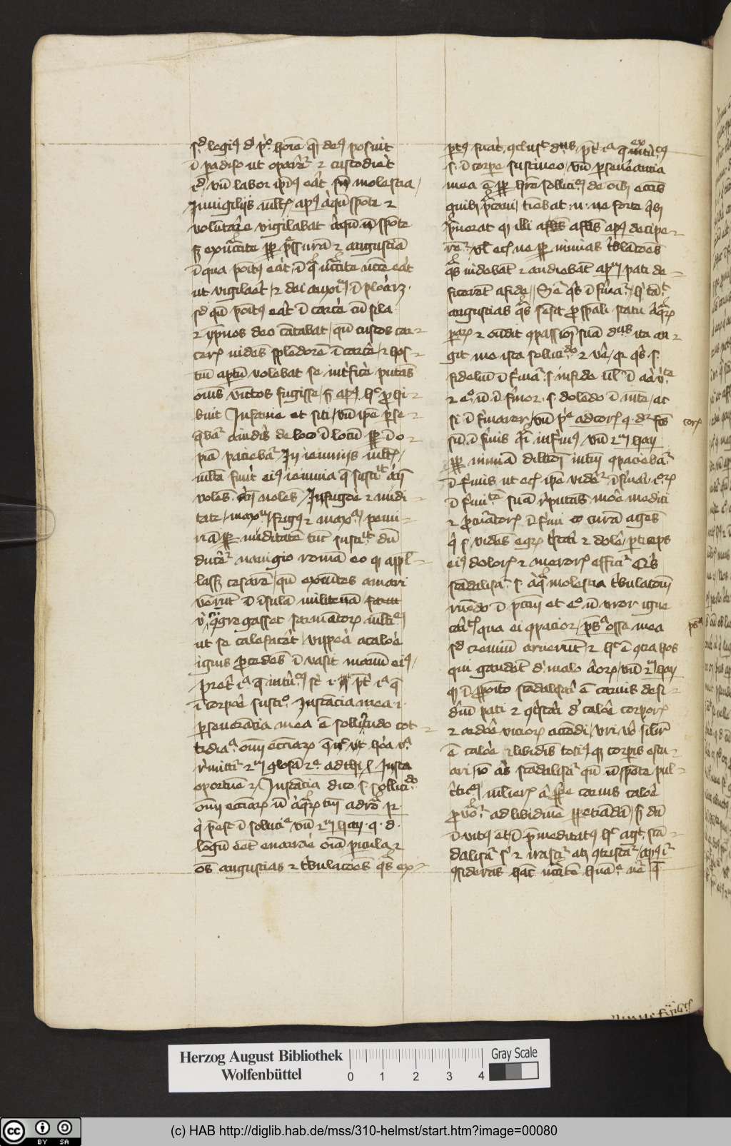 http://diglib.hab.de/mss/310-helmst/00080.jpg