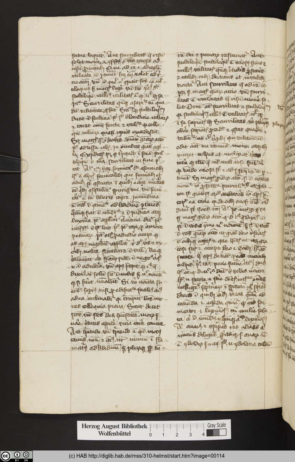 http://diglib.hab.de/mss/310-helmst/00114.jpg