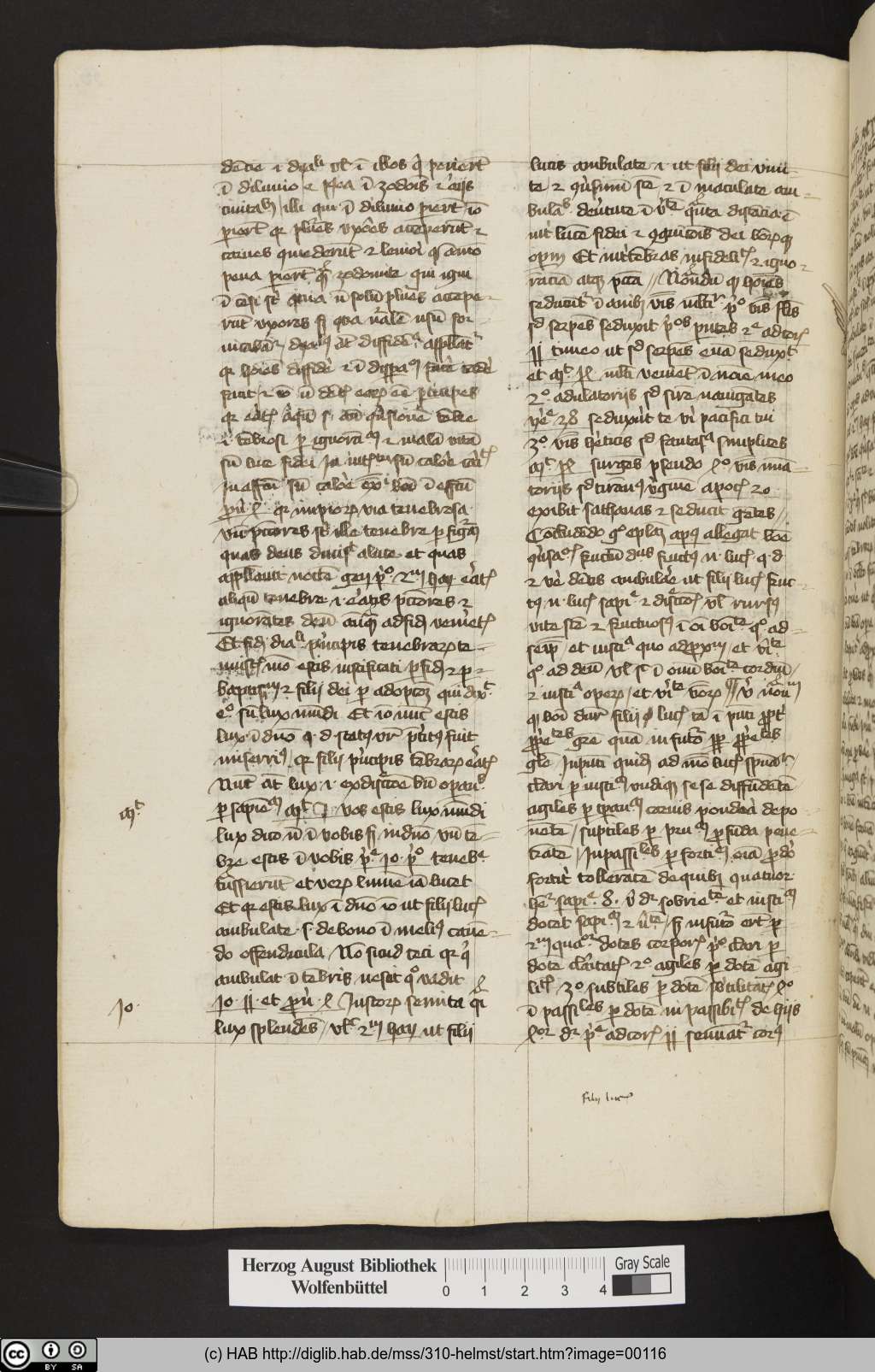 http://diglib.hab.de/mss/310-helmst/00116.jpg