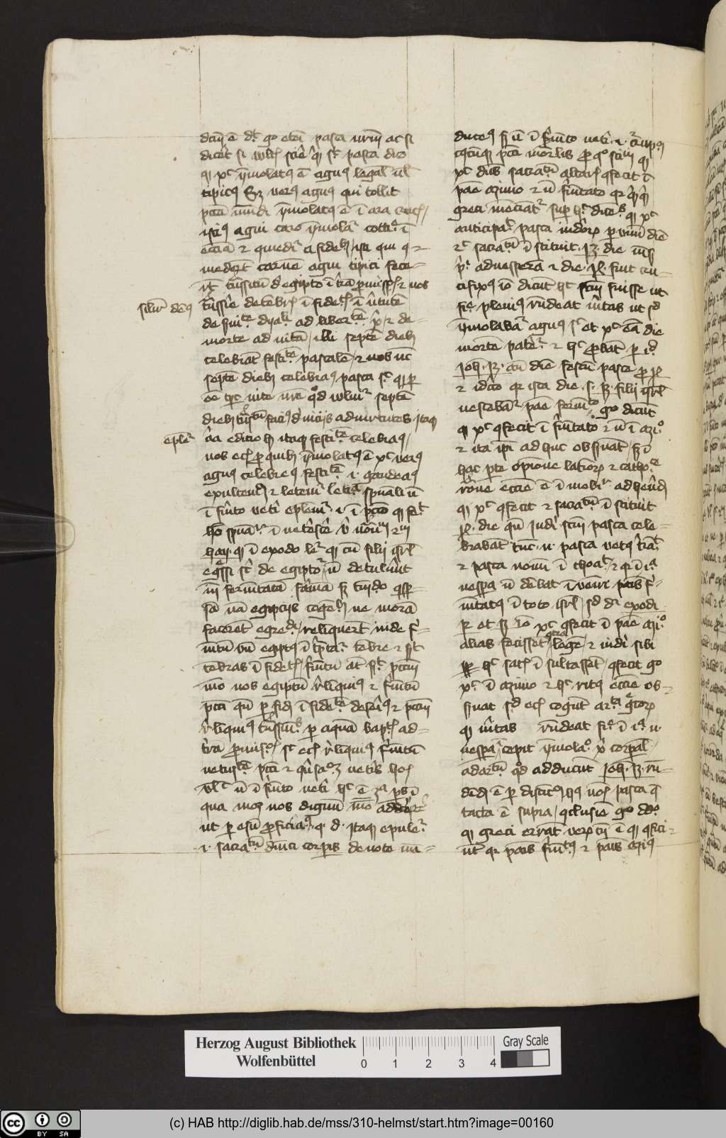 http://diglib.hab.de/mss/310-helmst/00160.jpg