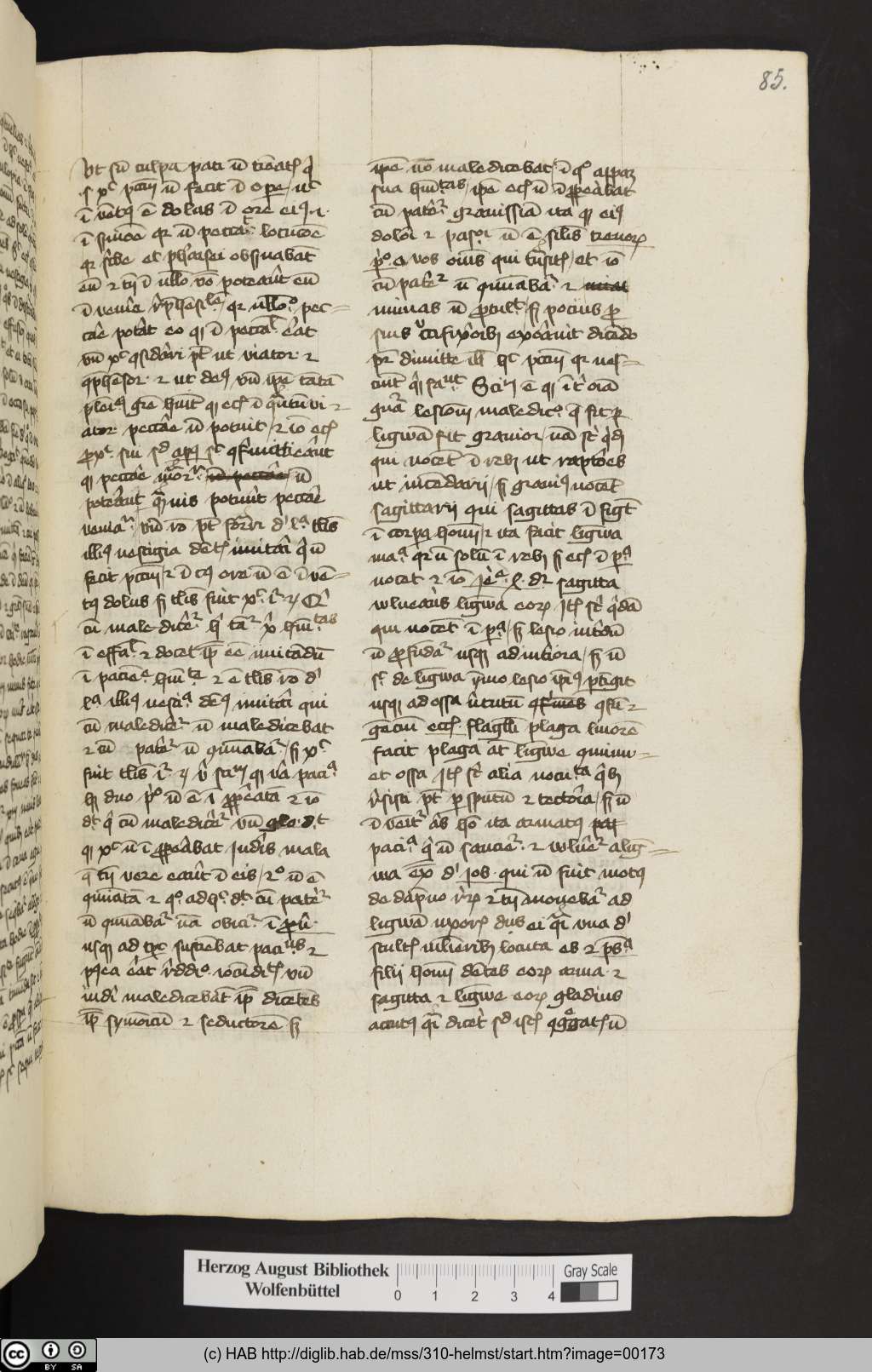 http://diglib.hab.de/mss/310-helmst/00173.jpg