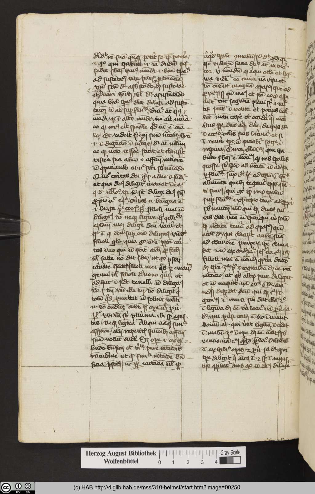 http://diglib.hab.de/mss/310-helmst/00250.jpg