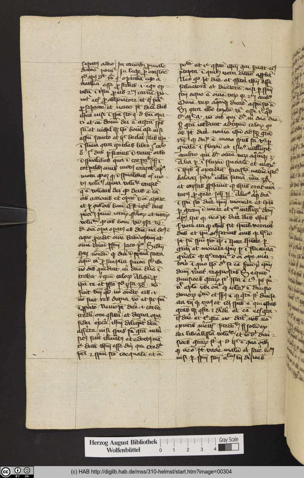 http://diglib.hab.de/mss/310-helmst/00304.jpg