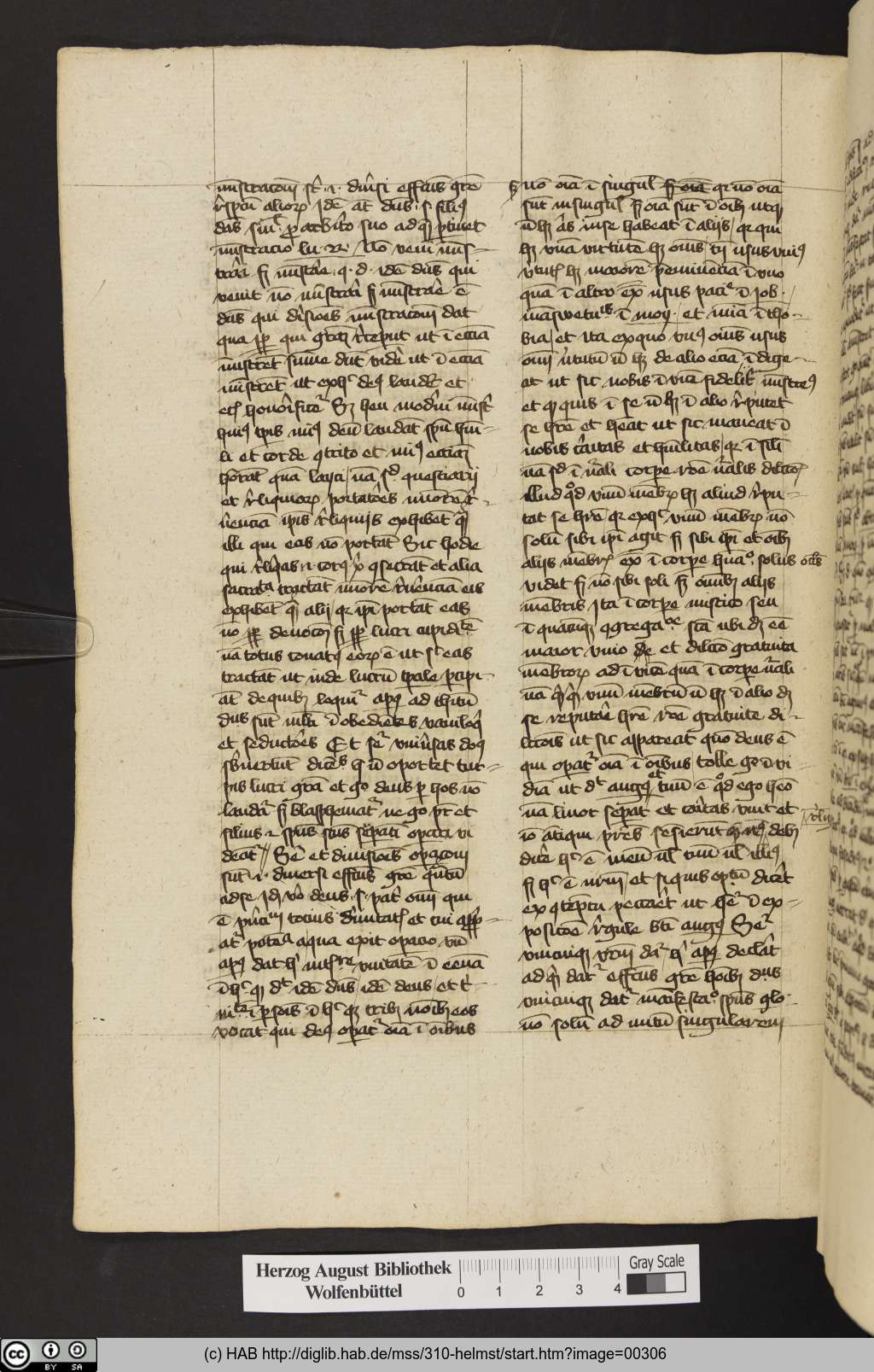 http://diglib.hab.de/mss/310-helmst/00306.jpg