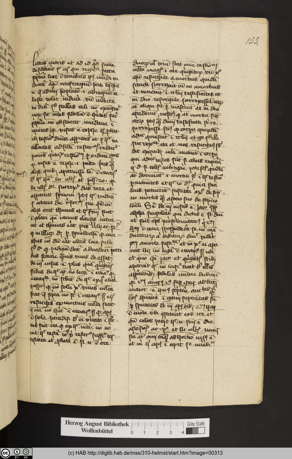 http://diglib.hab.de/mss/310-helmst/00313.jpg