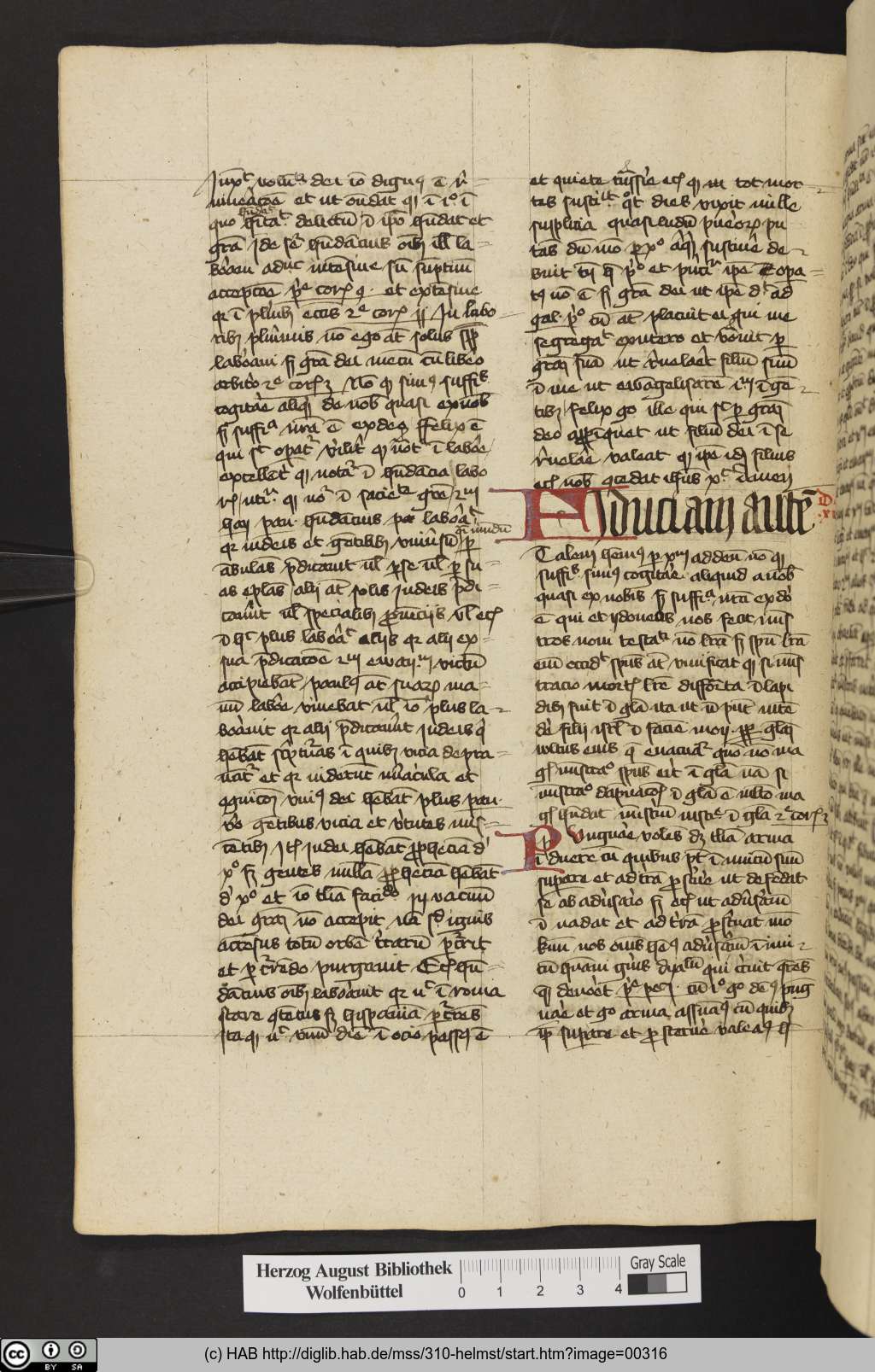 http://diglib.hab.de/mss/310-helmst/00316.jpg