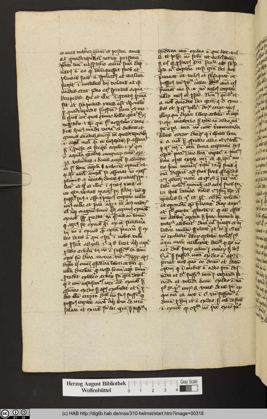 http://diglib.hab.de/mss/310-helmst/00318.jpg