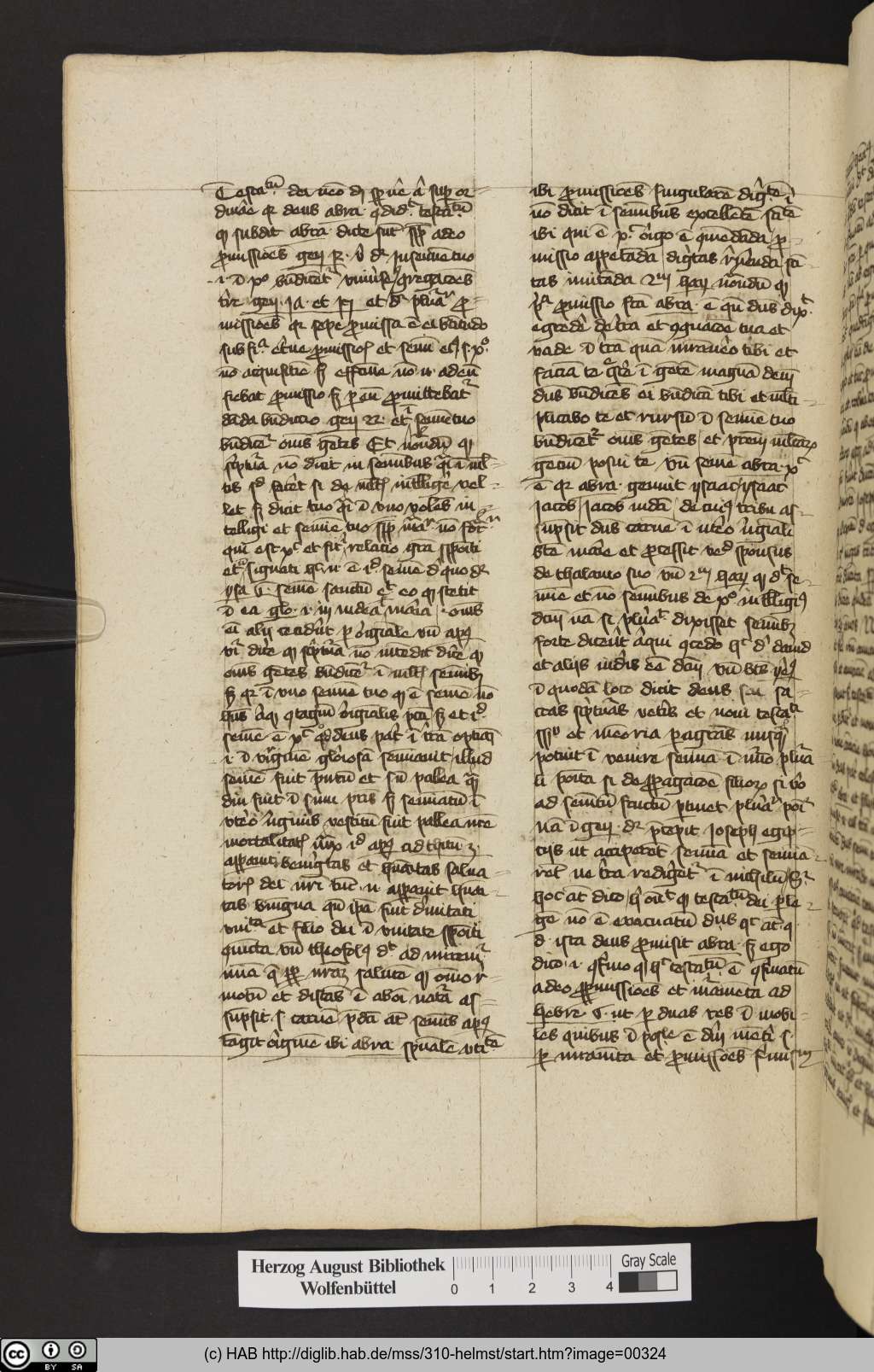 http://diglib.hab.de/mss/310-helmst/00324.jpg