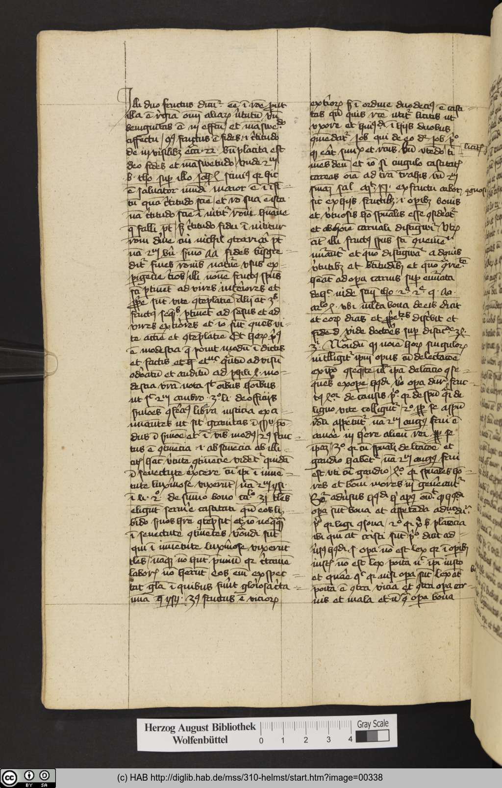 http://diglib.hab.de/mss/310-helmst/00338.jpg