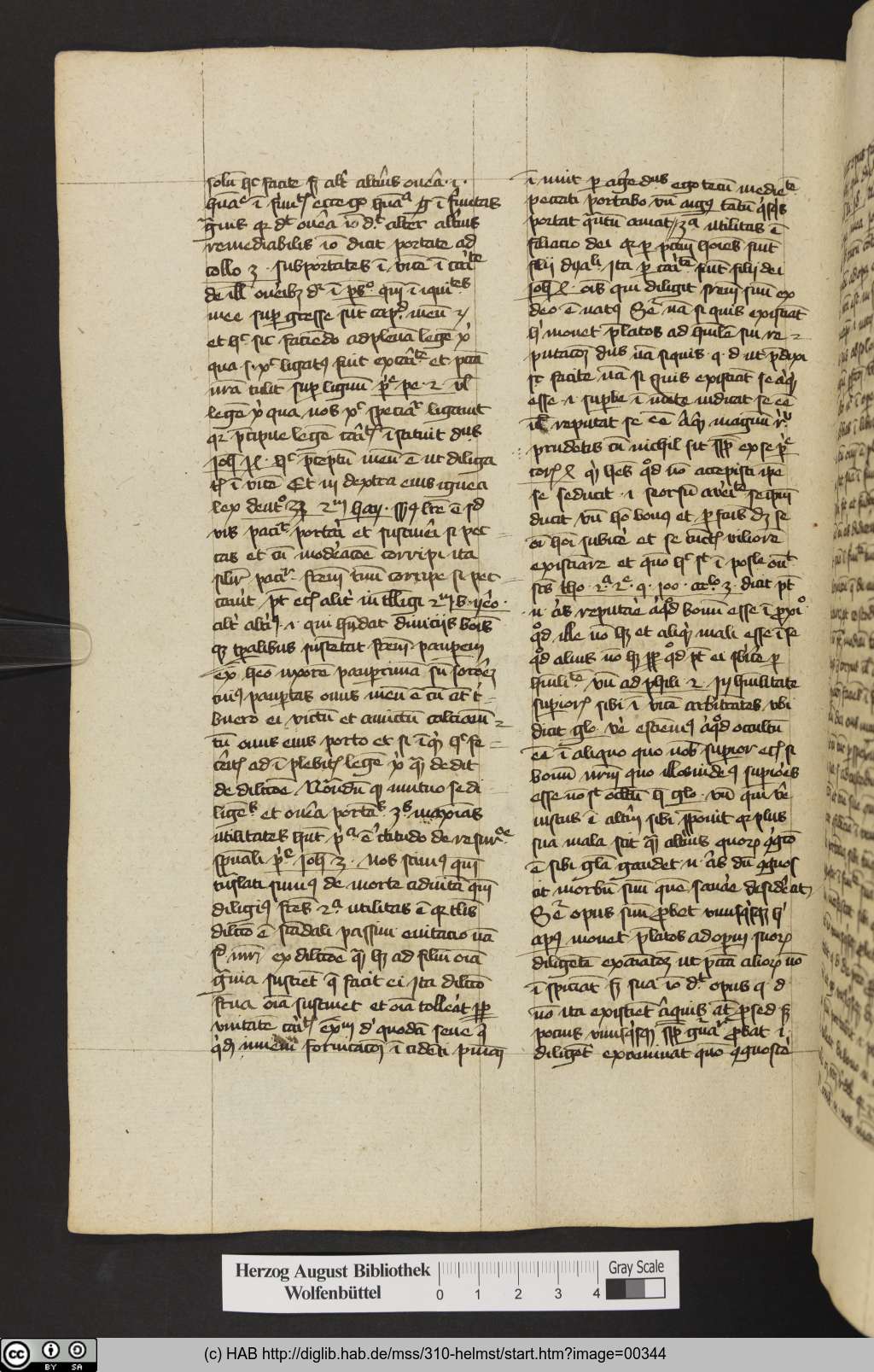 http://diglib.hab.de/mss/310-helmst/00344.jpg