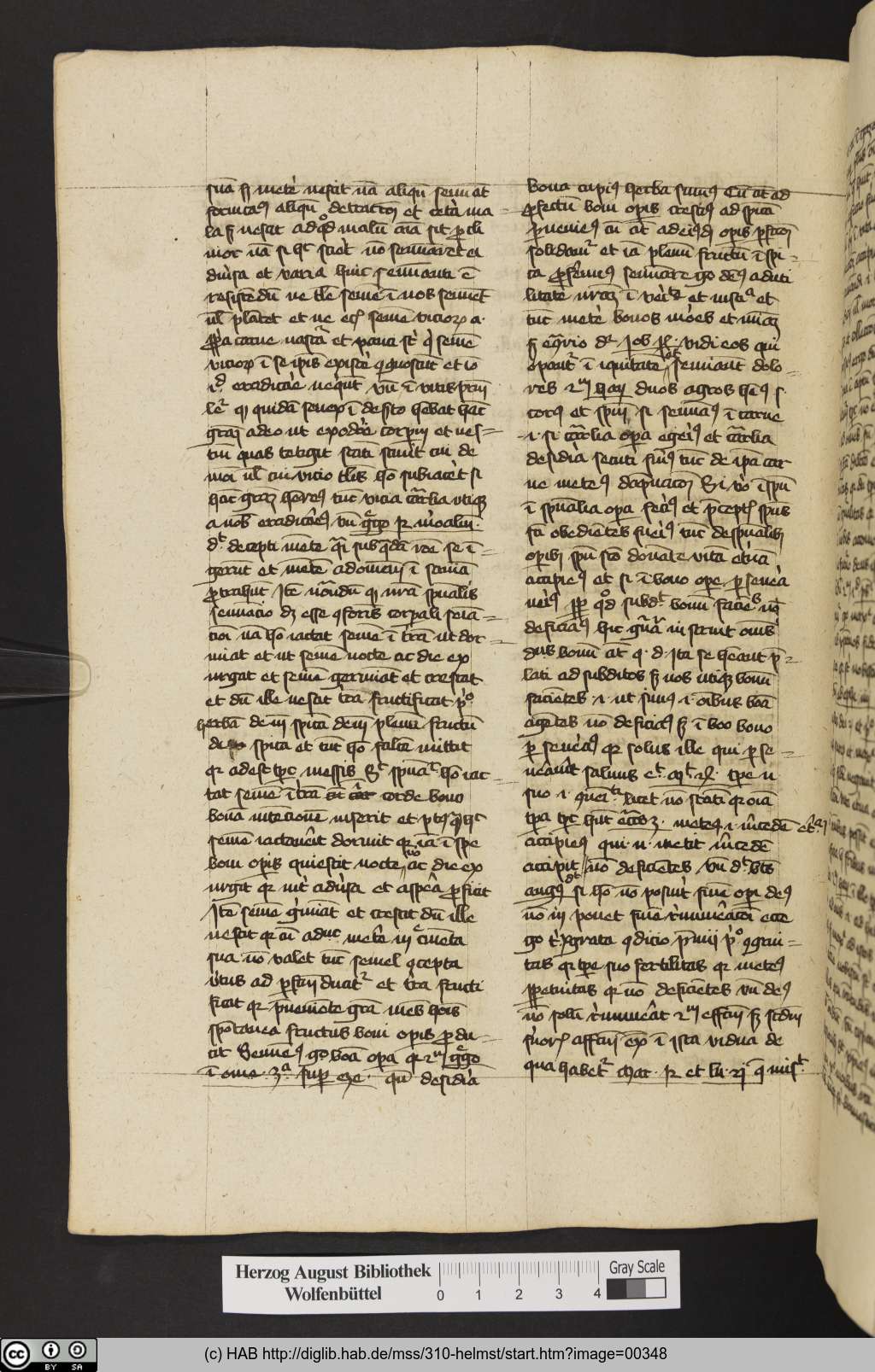 http://diglib.hab.de/mss/310-helmst/00348.jpg