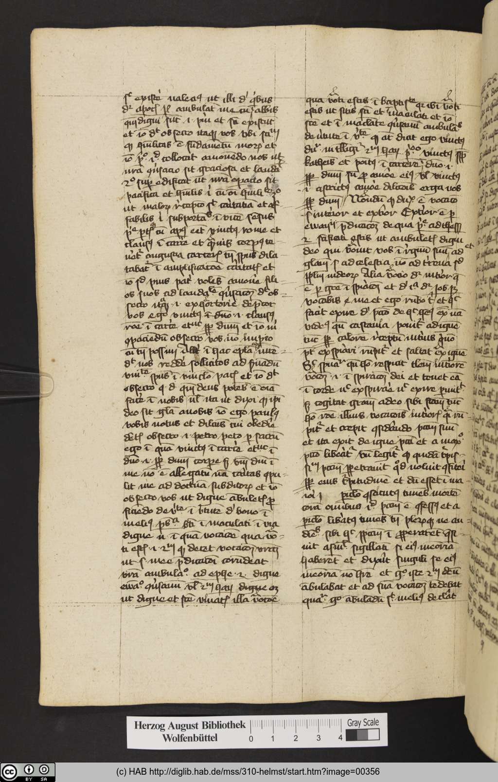 http://diglib.hab.de/mss/310-helmst/00356.jpg