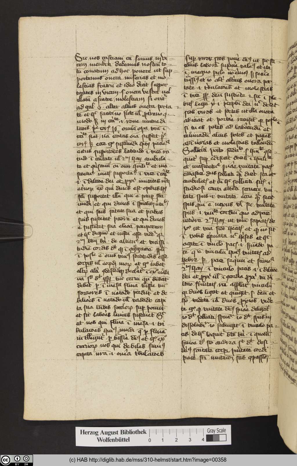 http://diglib.hab.de/mss/310-helmst/00358.jpg