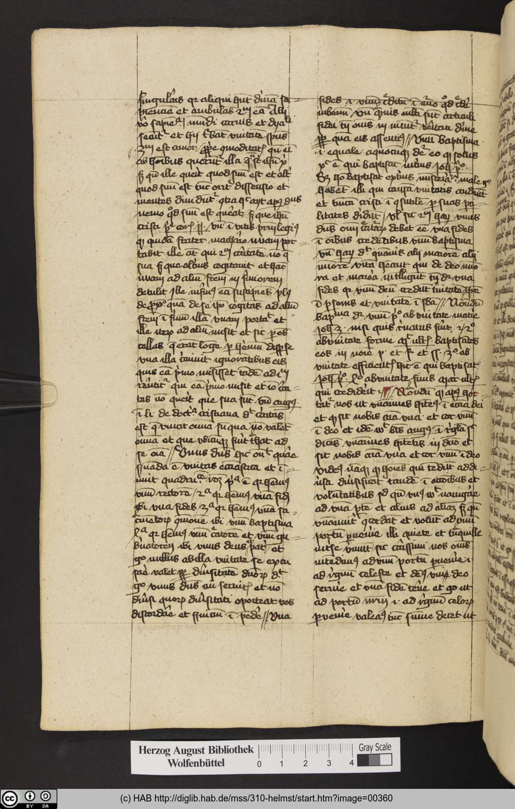 http://diglib.hab.de/mss/310-helmst/00360.jpg