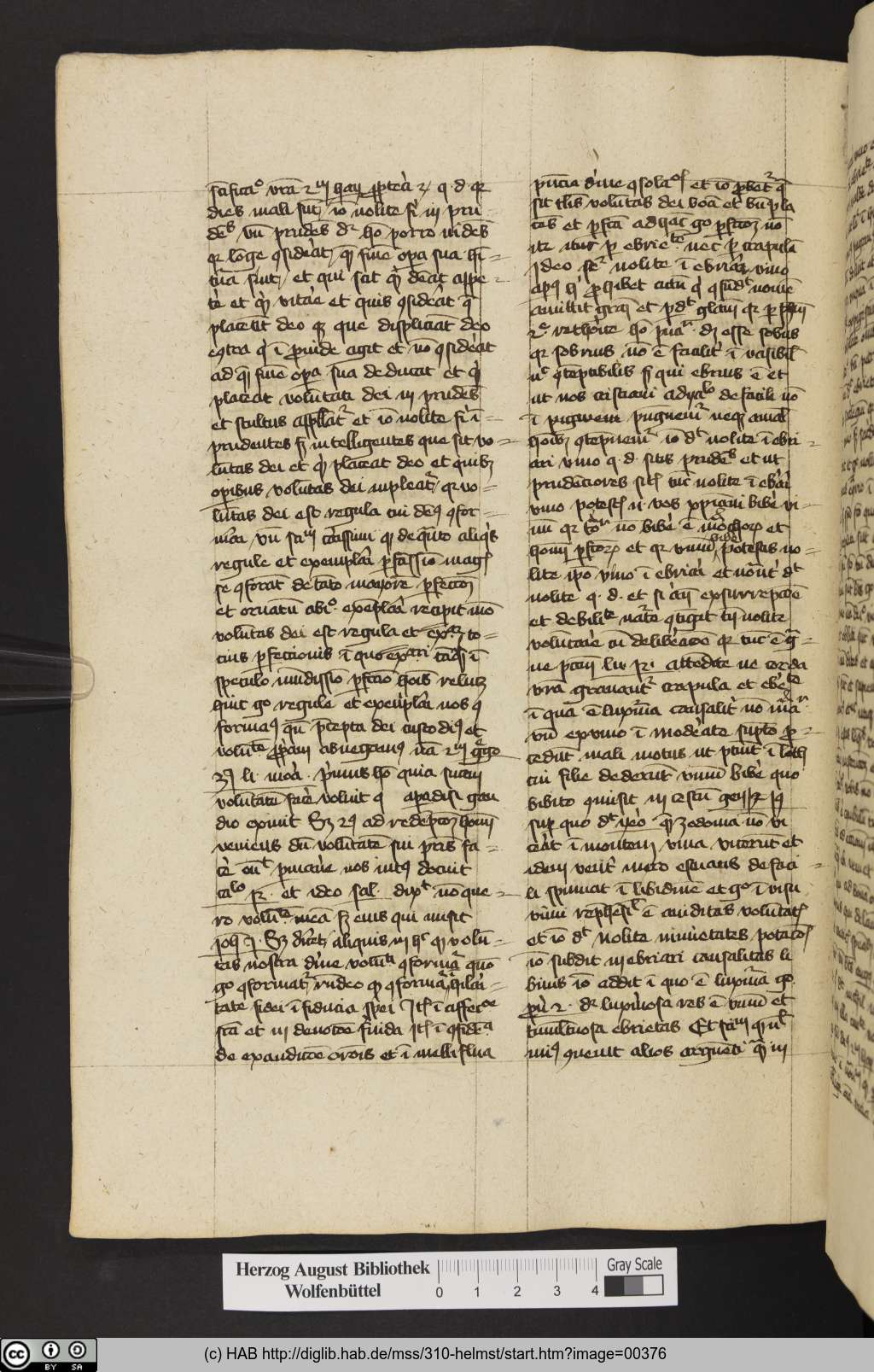 http://diglib.hab.de/mss/310-helmst/00376.jpg