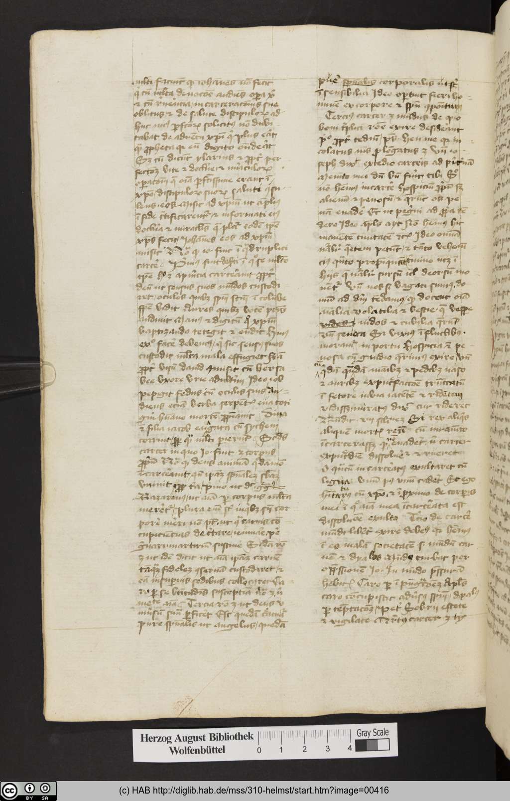 http://diglib.hab.de/mss/310-helmst/00416.jpg