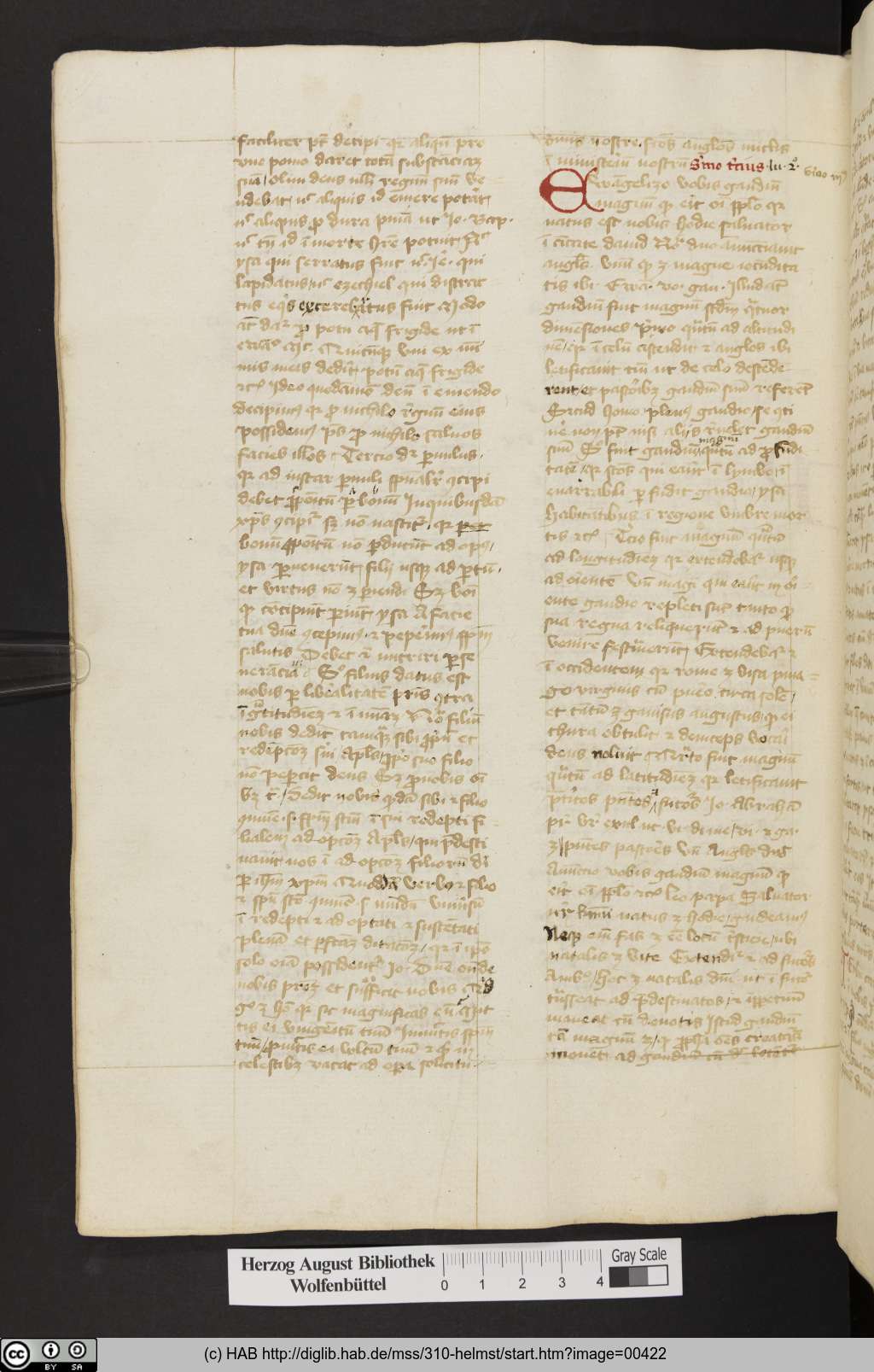 http://diglib.hab.de/mss/310-helmst/00422.jpg