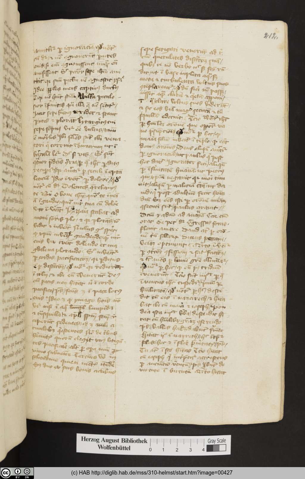 http://diglib.hab.de/mss/310-helmst/00427.jpg