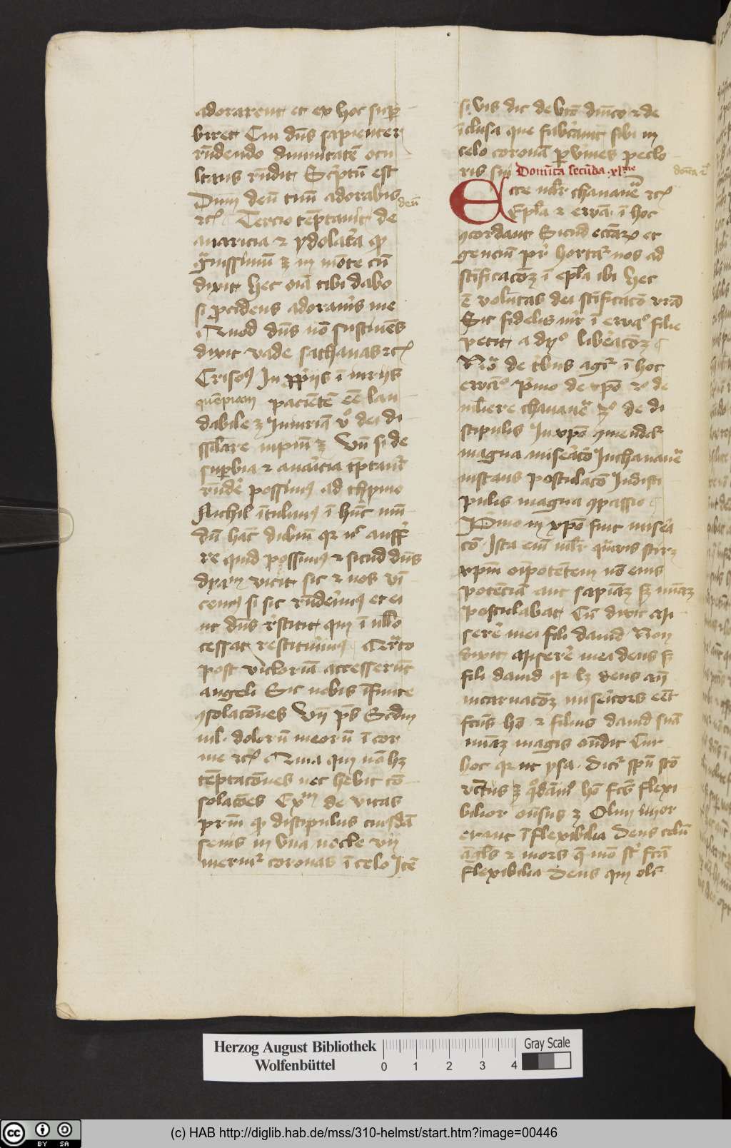 http://diglib.hab.de/mss/310-helmst/00446.jpg